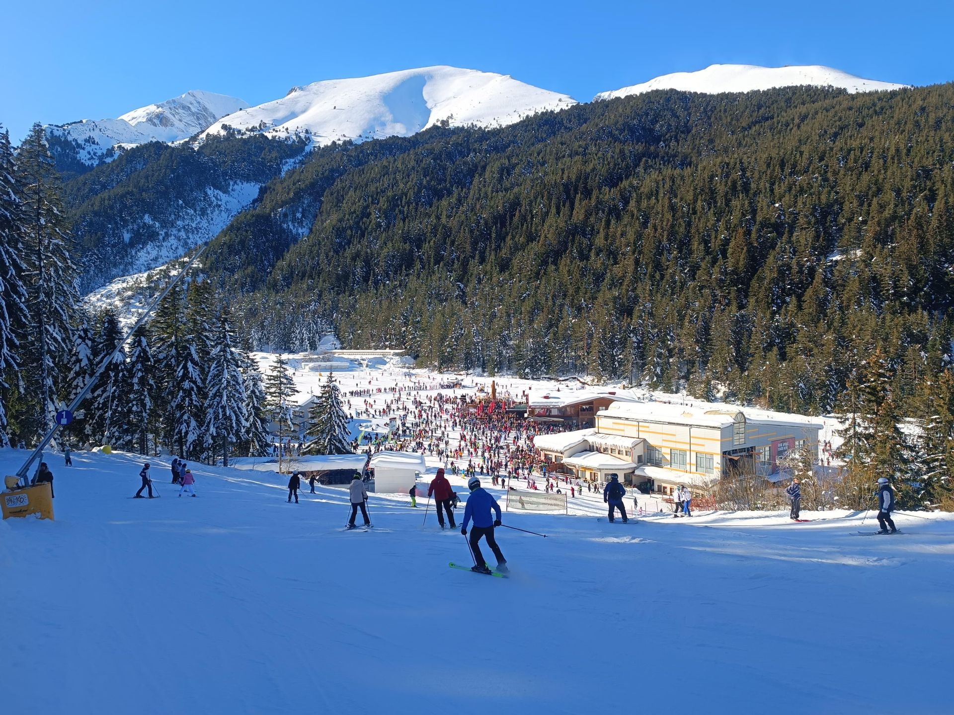 Des gens skiant sur une piste bondée dans une station de montagne par une journée ensoleillée, avec des forêts de pins et des sommets enneigés en arrière-plan.