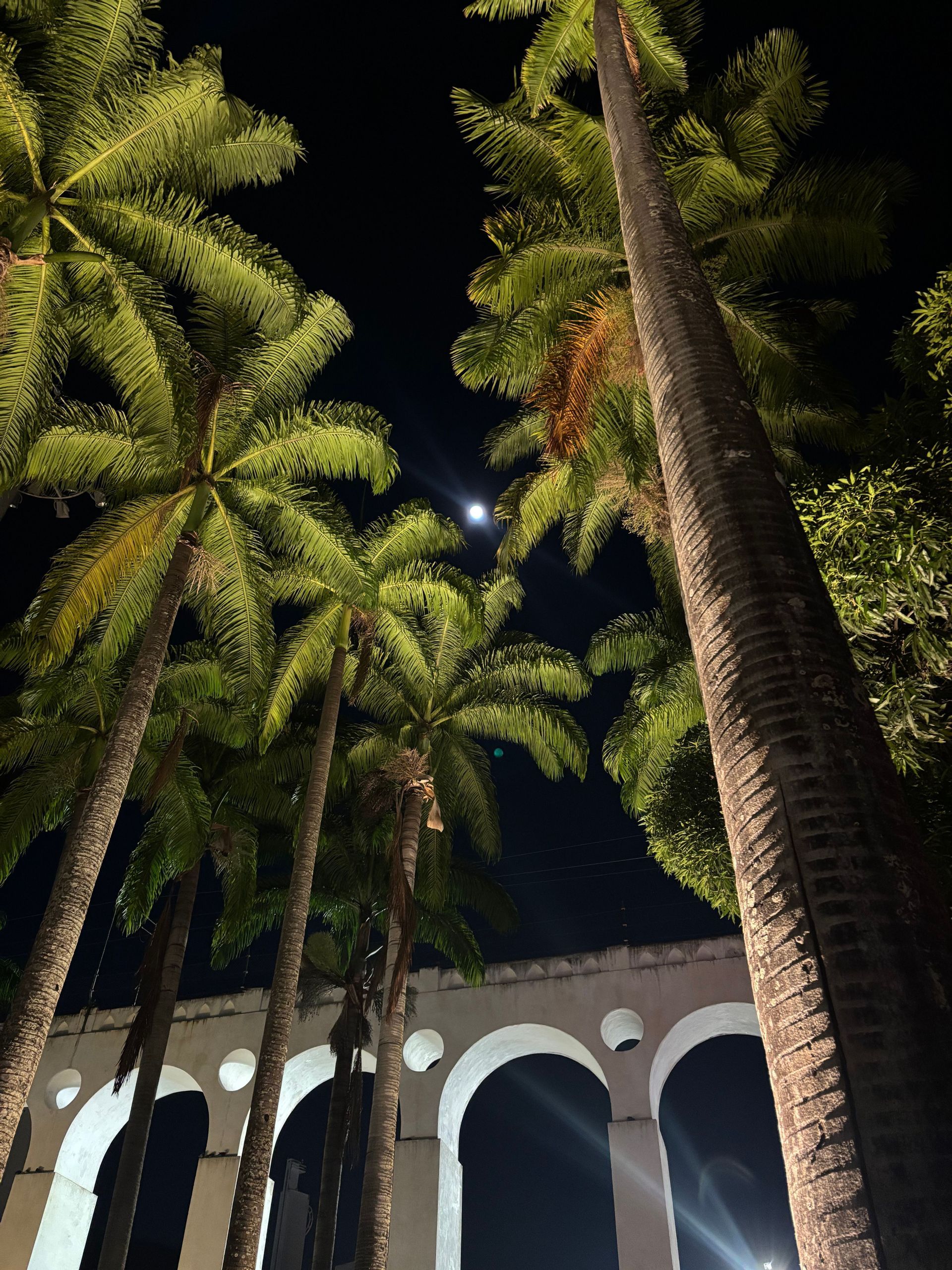 Una veduta dal basso di alte palme e un acquedotto bianco ad arco illuminati contro un cielo notturno scuro con una luna luminosa.