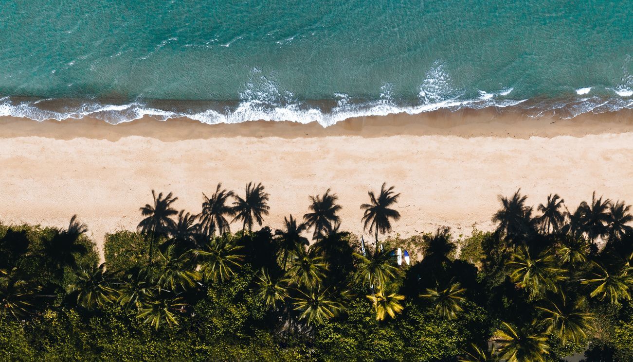 Una vista aerea, dall'alto, di onde turchesi che si infrangono su una spiaggia sabbiosa delimitata da una fila di palme verdi.