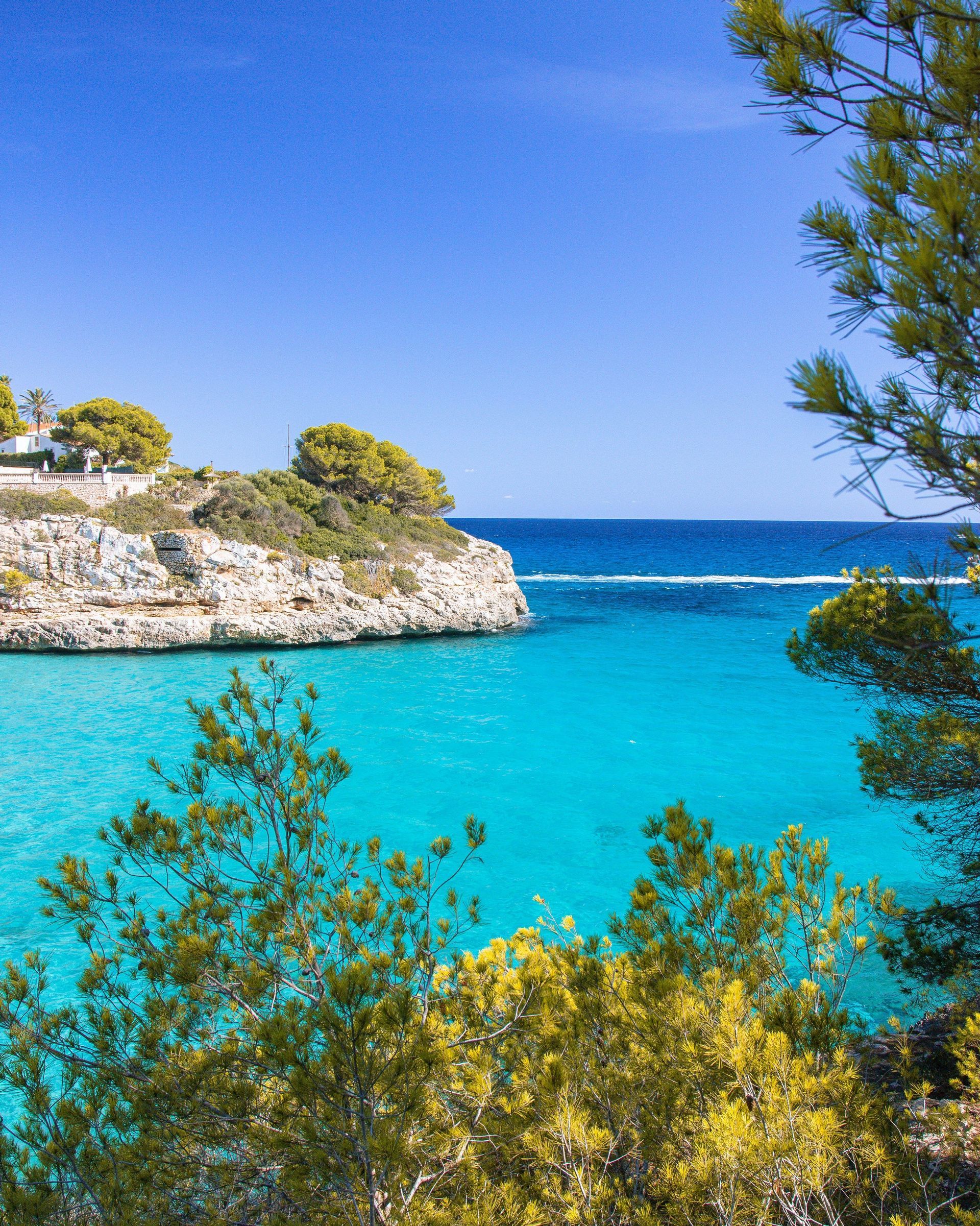 Una caletta rocciosa con acque turchesi vibranti, incorniciata da pini verdi sotto un cielo azzurro chiaro.