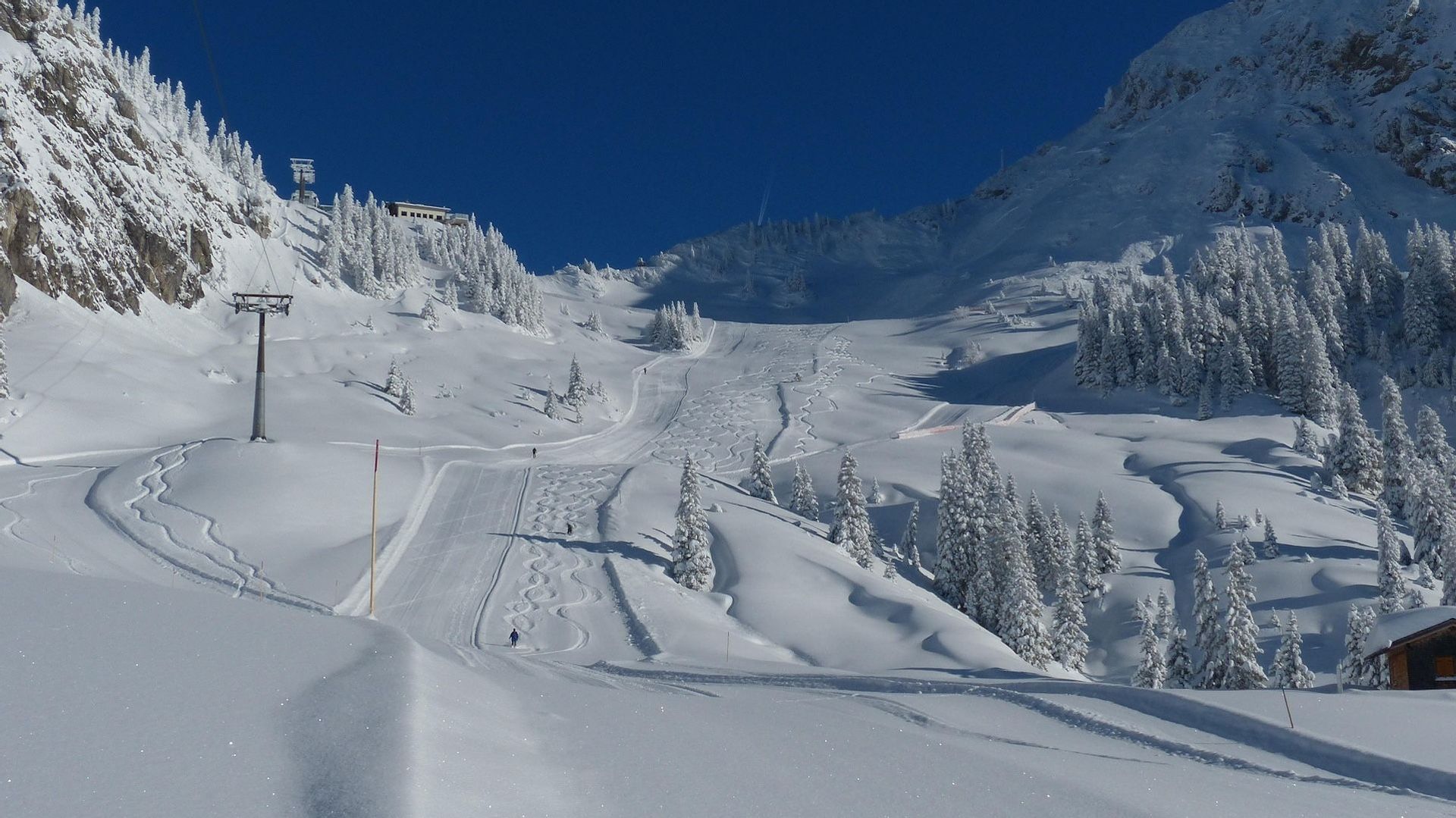 Vue panoramique d'une vallée montagneuse enneigée avec des pistes de ski, des pins saupoudrés de neige et un télésiège sous un ciel bleu dégagé.