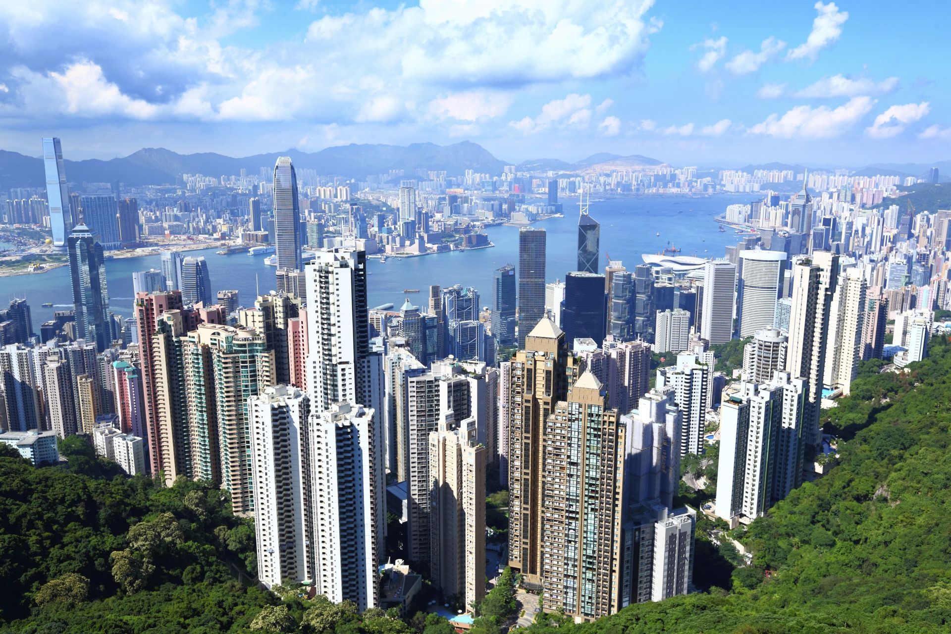 Una veduta dall'alto di un fitto skyline urbano con numerosi grattacieli, adiacente a uno specchio d'acqua, osservata da una rigogliosa collina verde.