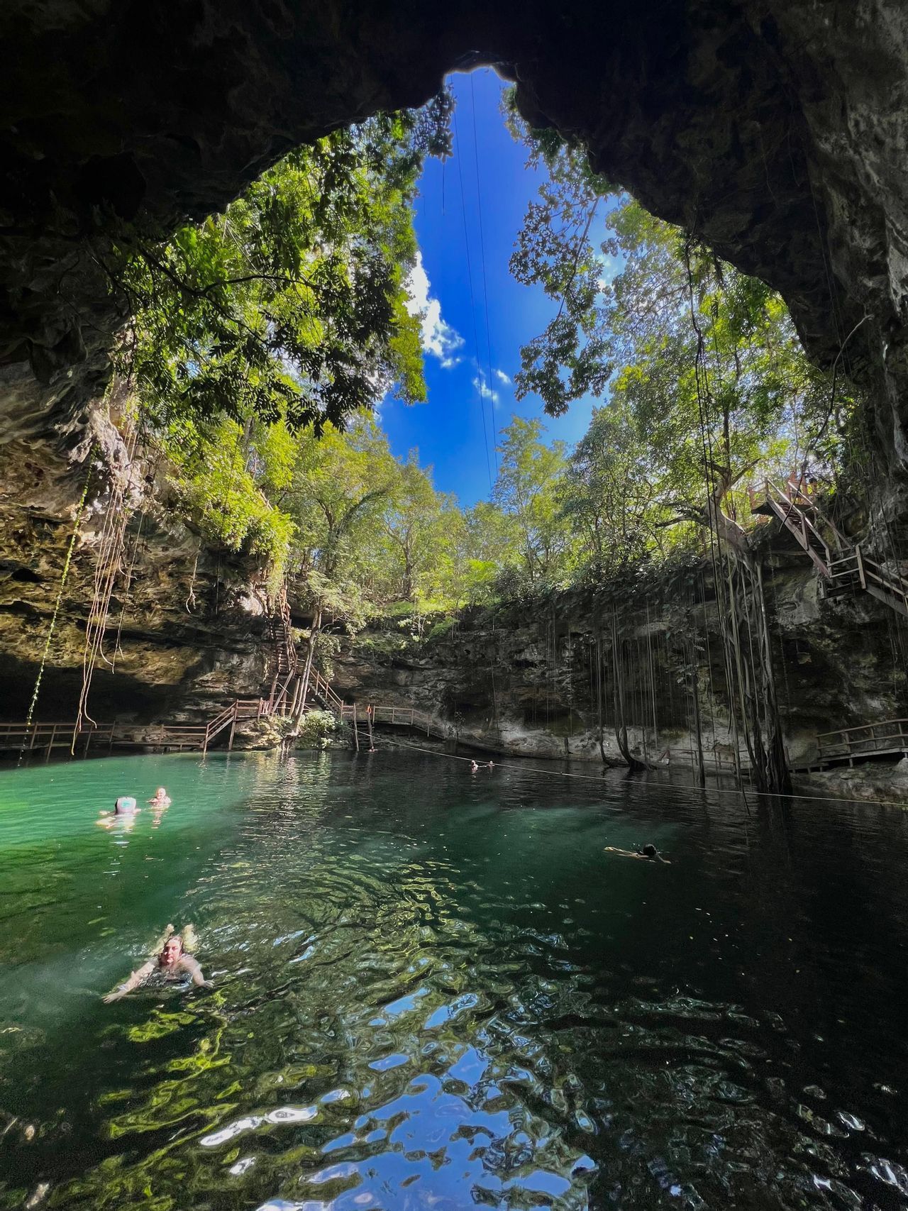 Un viaggio di gruppo WeRoad nuota nelle acque verdi di un cenote circondato da pareti rocciose, liane della giungla e un cielo aperto.