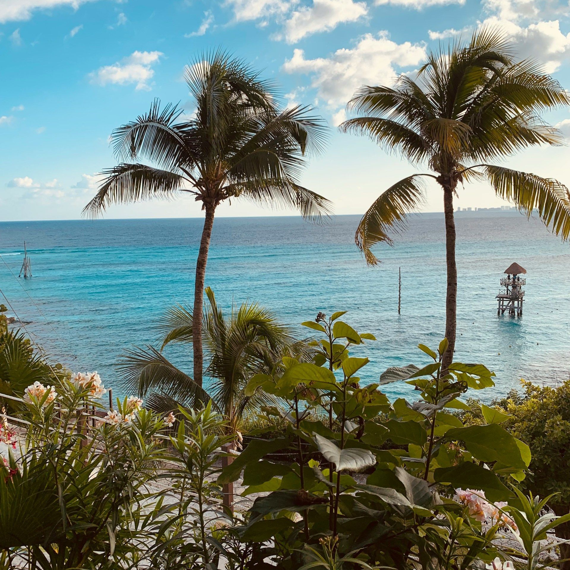 Palme e piante tropicali incorniciano una vista sull'oceano turchese, con una torre di avvistamento in legno nell'acqua sotto un cielo parzialmente nuvoloso.
