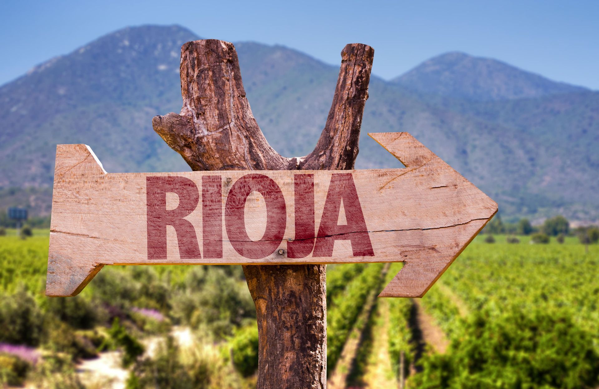 Una señal de flecha de madera con 'RIOJA' escrito en rojo apunta a la derecha, frente a un viñedo verde y montañas distantes.