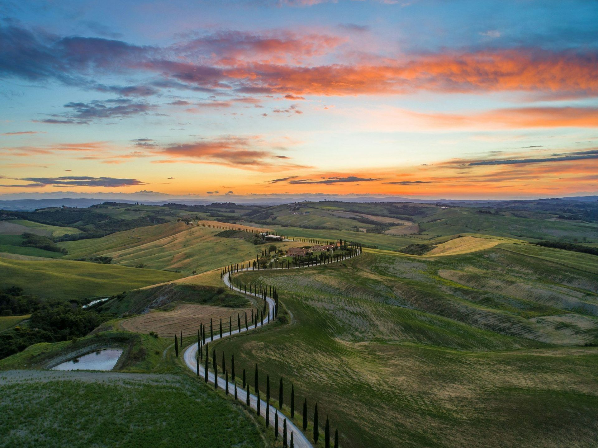 An aerial view of a winding road lined with cypress trees leading to a villa across rolling green hills at sunset.