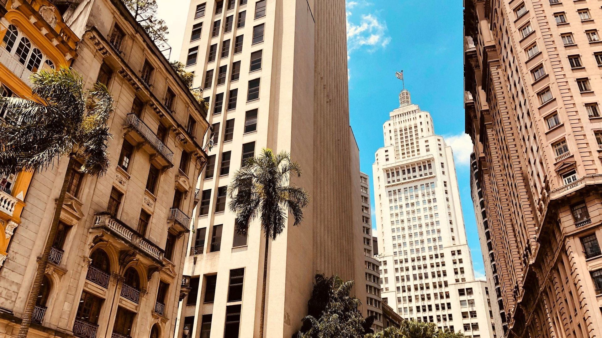Blick aus der Froschperspektive auf klassische und moderne Wolkenkratzer, die Seite an Seite mit einer Palme unter blauem Himmel stehen.