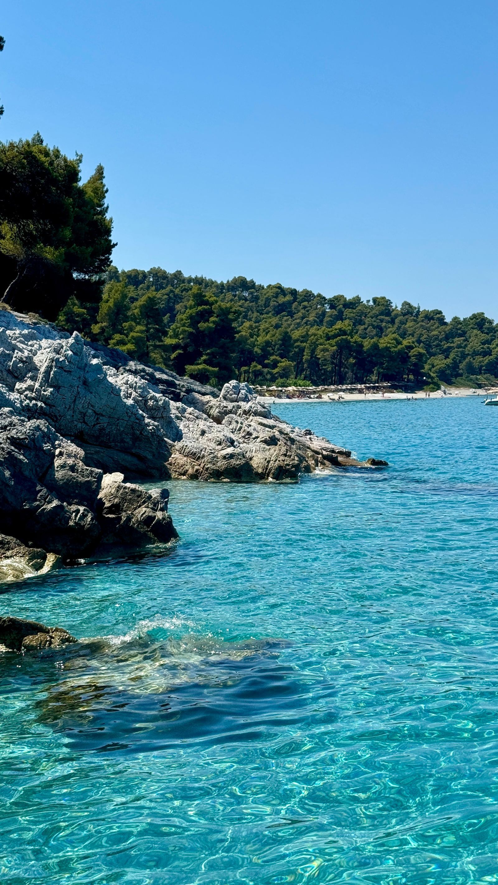 Acqua cristallina e turchese circonda una costa rocciosa coperta di alberi verdi, con una spiaggia sabbiosa visibile sullo sfondo sotto un cielo azzurro.