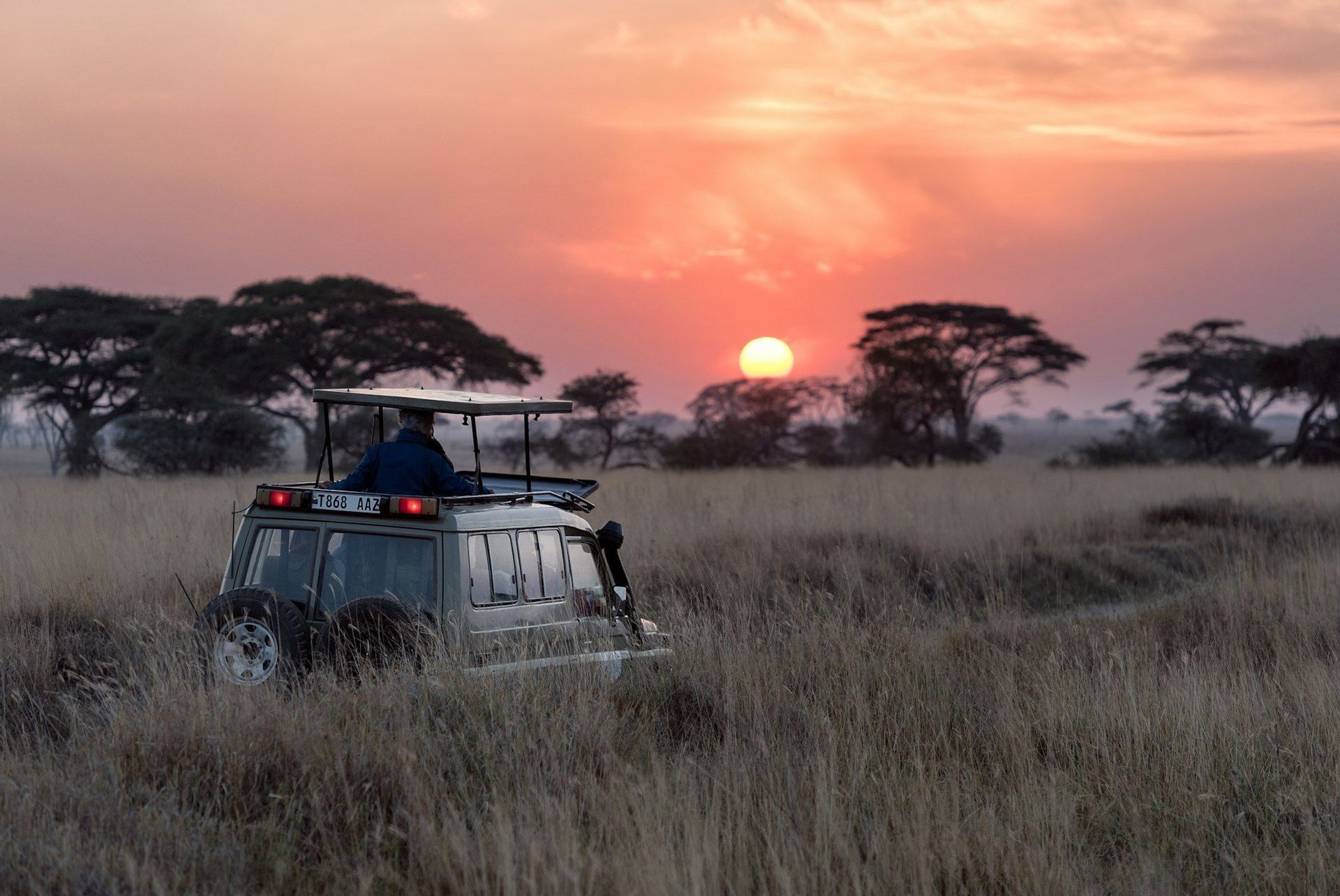 Una persona en un jeep de safari descapotable en una sabana, observando el atardecer tras árboles silueteados en el horizonte.