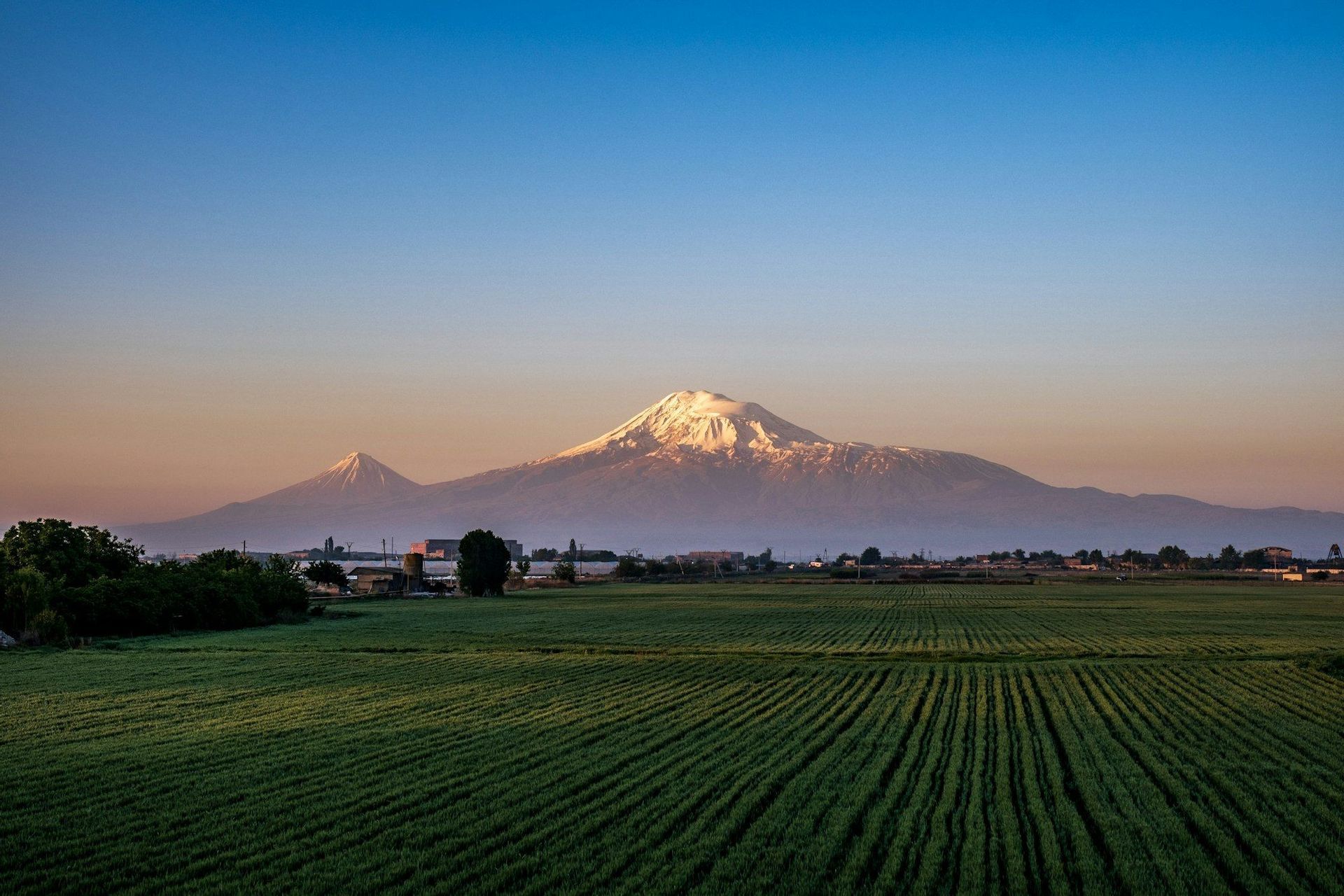 Un vasto campo verde con solchi lineari si estende verso due grandi montagne innevate all'alba.