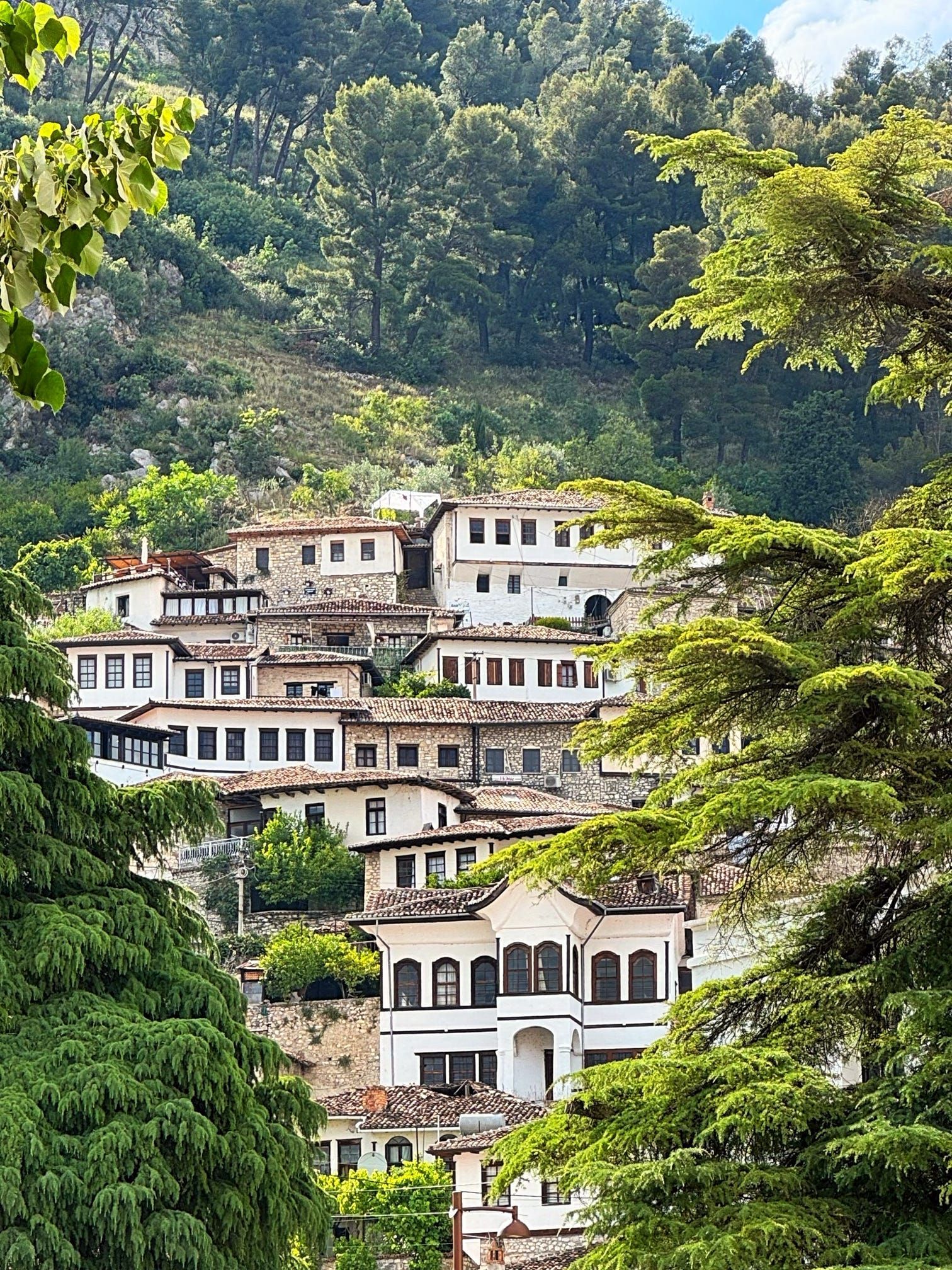 Casas blancas tradicionales con techos de tejas, construidas en una ladera verde cubierta de denso bosque, vistas a través de las hojas de los árboles.