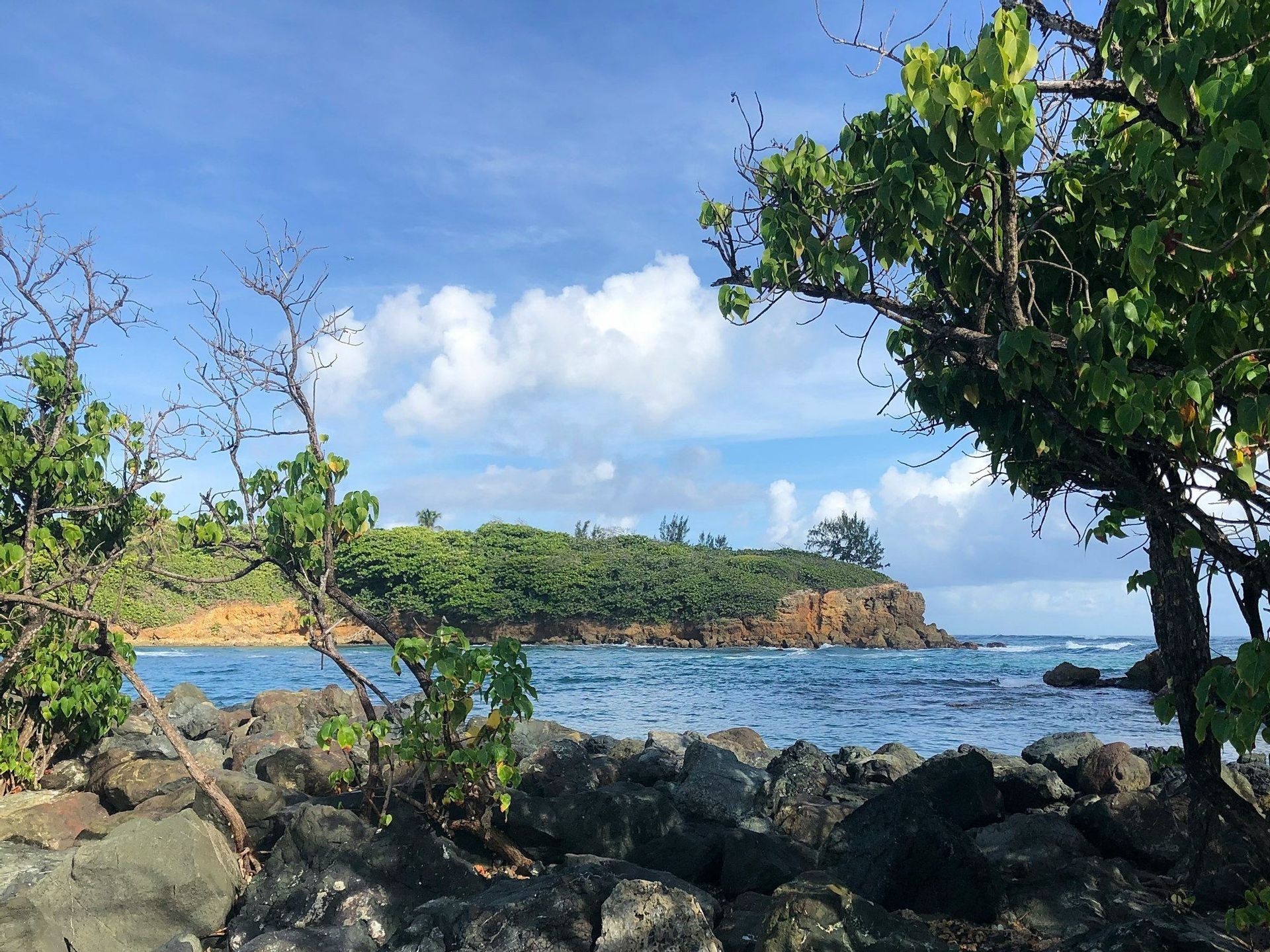 Una costa rocosa con árboles verdes enmarca la vista de un acantilado exuberante y verdeante al otro lado de un cuerpo de agua azul bajo un cielo nublado.
