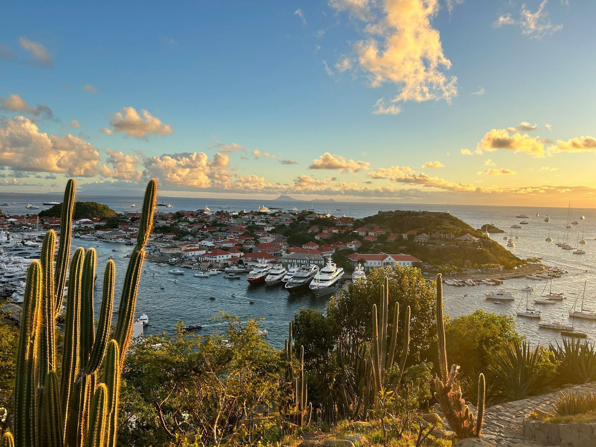 Vista dall'alto di un porto costiero pieno di yacht al tramonto, con alti cactus verdi in primo piano.