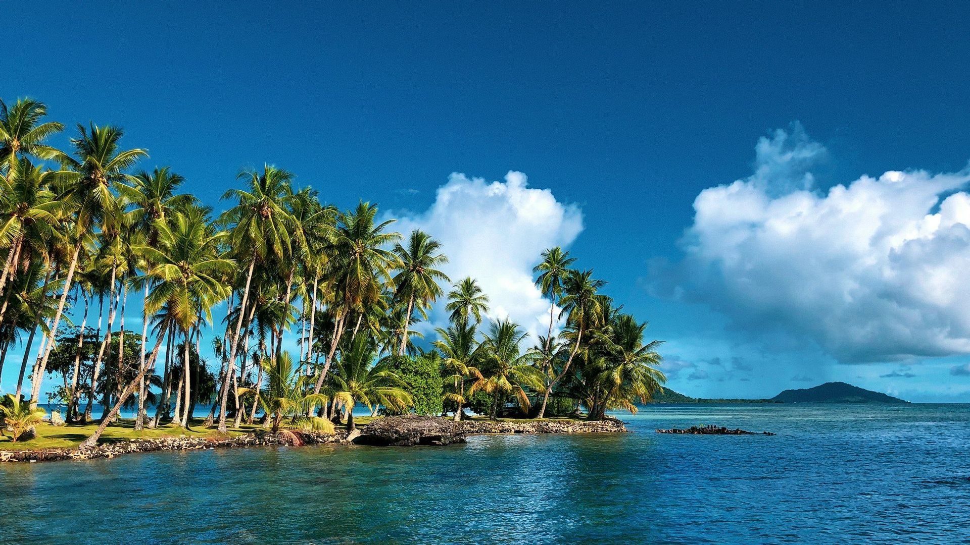 Spiaggia tropicale con palme, acque turchesi e cielo azzurro.