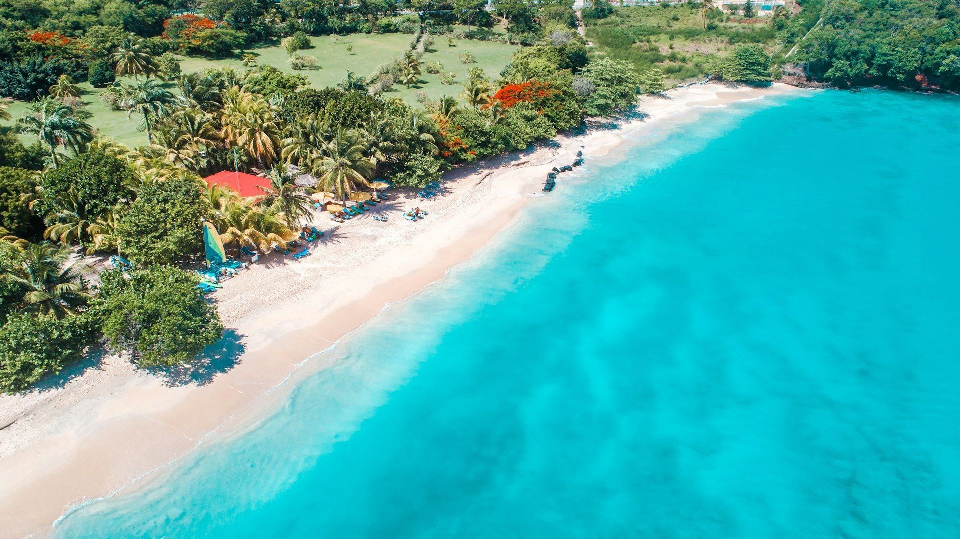Vista aerea di una spiaggia sabbiosa che incontra acque cristalline turchesi, con palme lussureggianti e vegetazione lungo la costa.