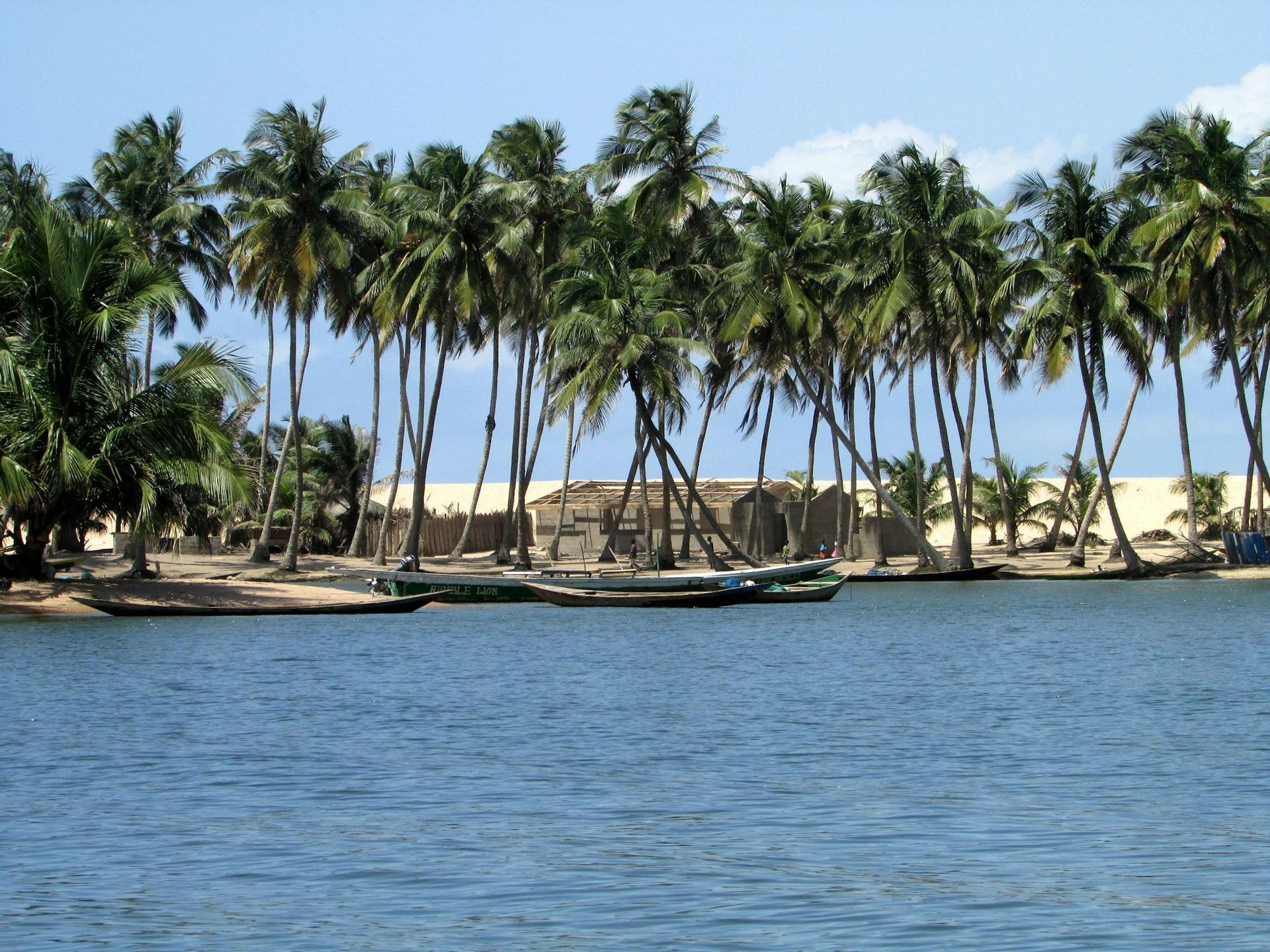 Diverse canoe sono ormeggiate su una riva sabbiosa di un fiume fiancheggiata da alte palme, con capanne e dune di sabbia sullo sfondo.