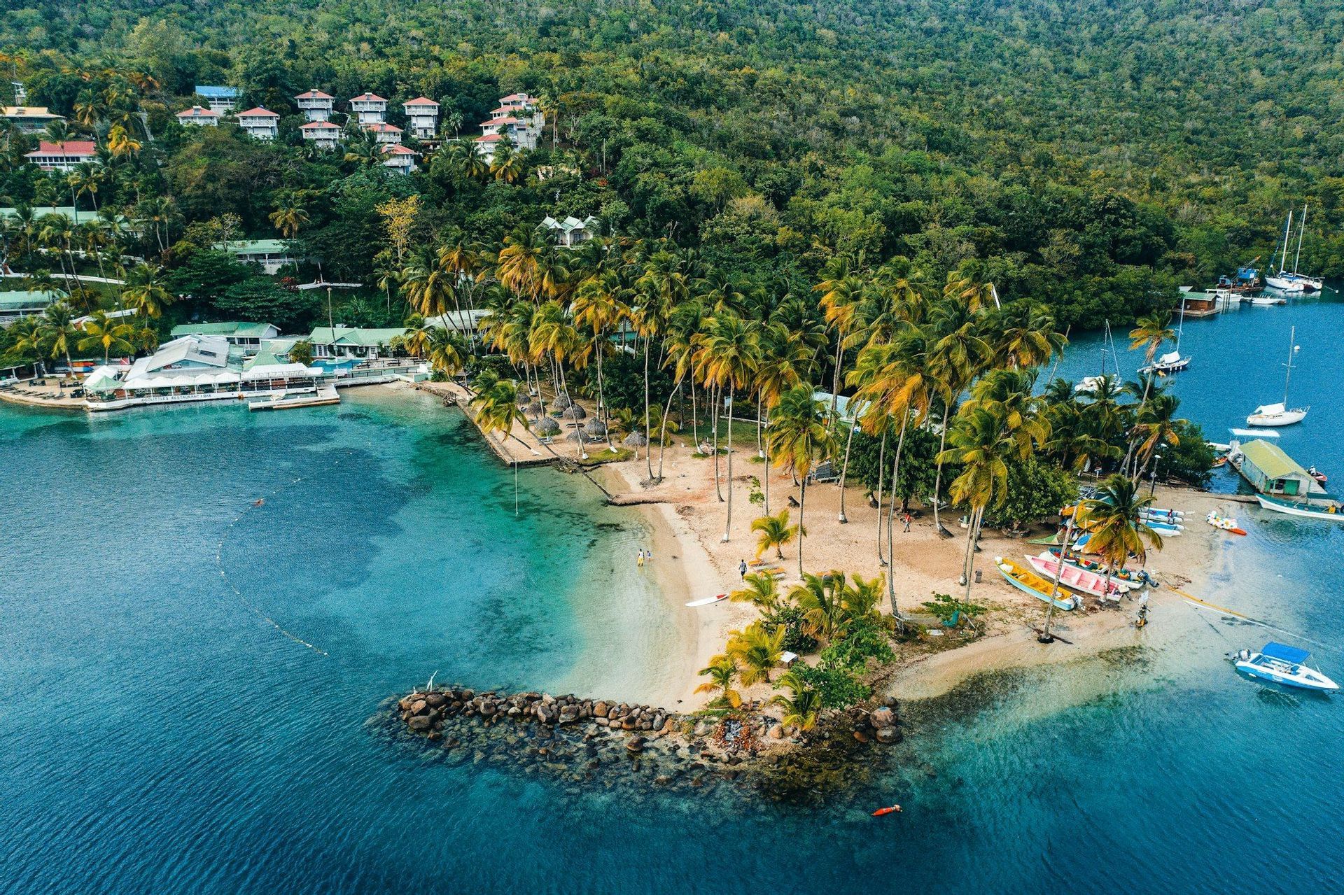 Vista aerea di una baia tropicale con spiaggia sabbiosa orlata di palme, acque turchesi cristalline e ville su una collina boscosa.