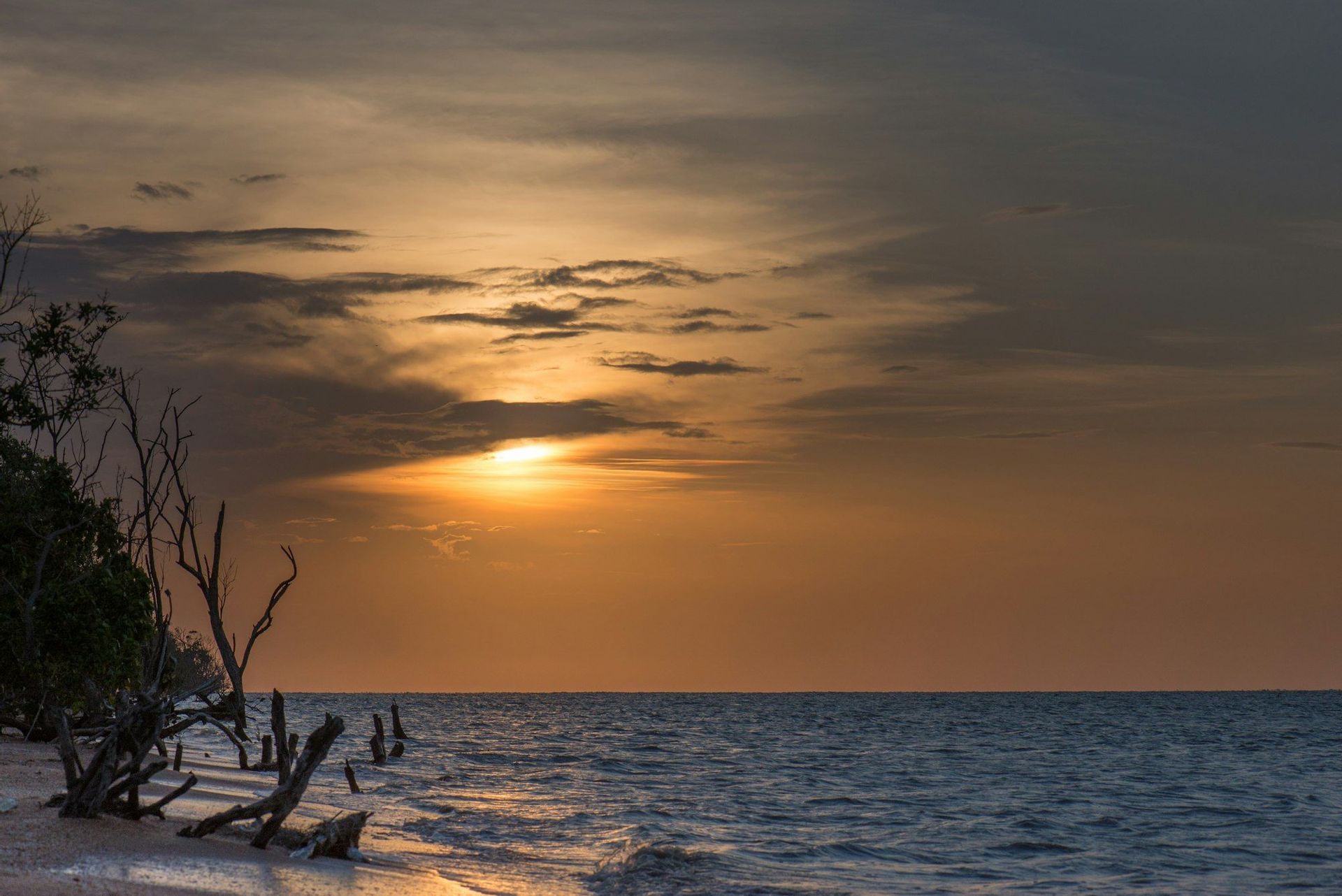 Un tramonto proietta un bagliore arancione su un cielo nuvoloso e sull'oceano, con legni alla deriva e alberi spogli sulla riva.