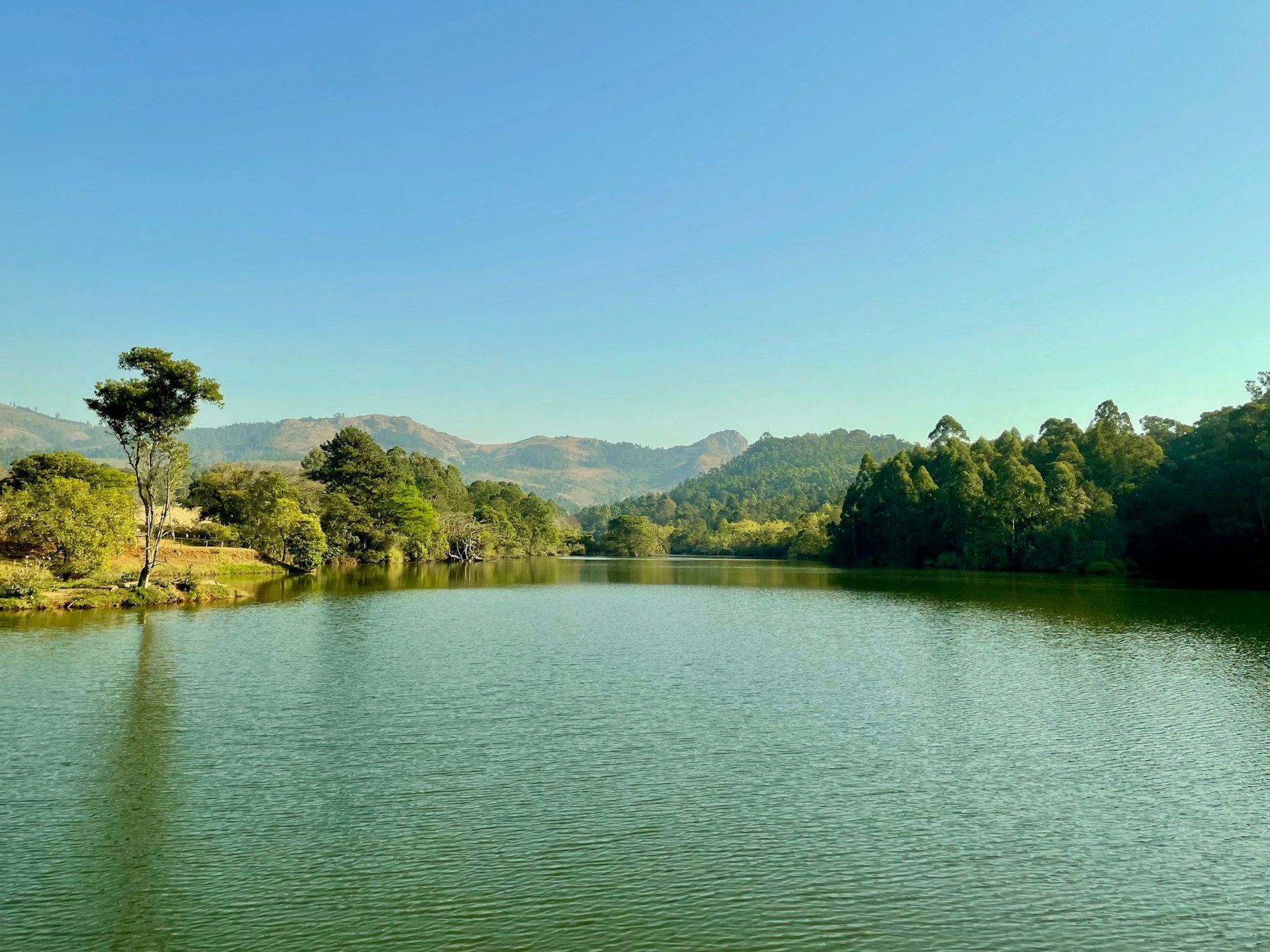 Un lago ampio e calmo è circondato da una fitta foresta verde, con dolci colline sullo sfondo sotto un cielo azzurro e limpido.