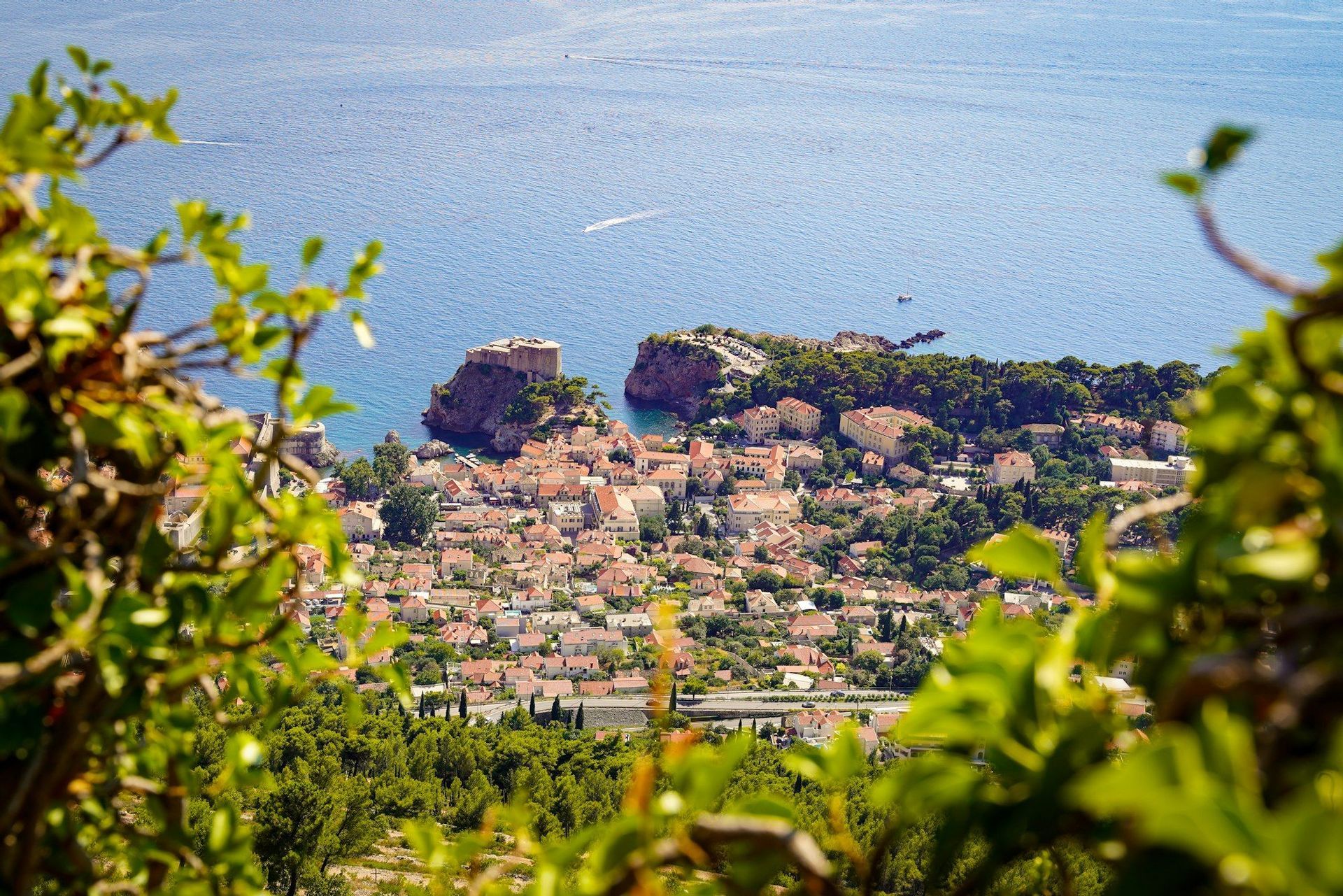 Una vista dall'alto di una città costiera con tetti rossi e un forte in pietra su una penisola, incorniciata da foglie verdi.