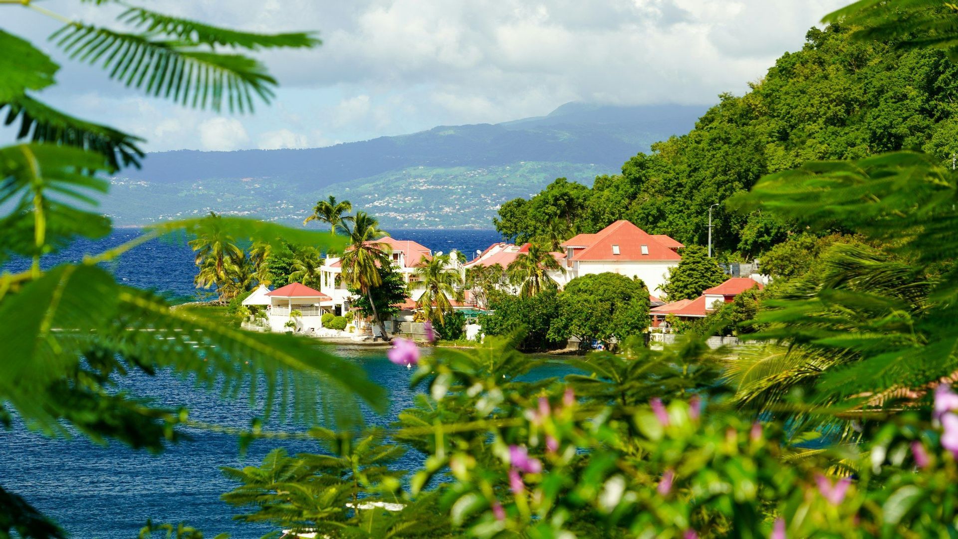 Vista de casas con tejados rojos y palmeras entre exuberante vegetación en una costa tropical, con una montaña de fondo.