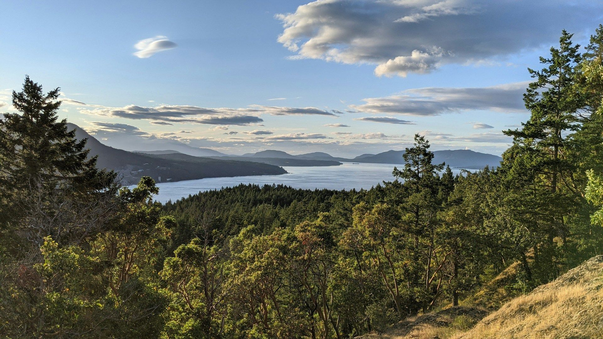 Una vista panoramica su una fitta foresta sempreverde verso un grande specchio d'acqua punteggiato di isole e montagne distanti sotto un cielo blu con nuvole sparse.