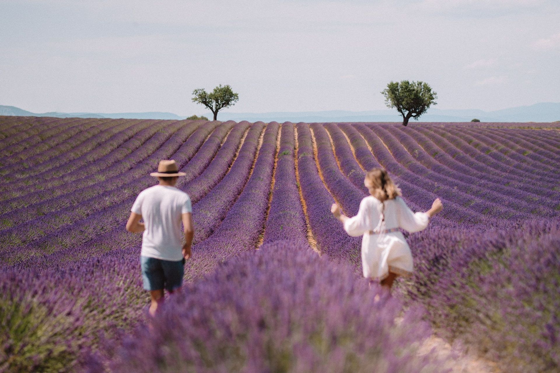 A man and a woman, seen from behind, walking through rolling rows of purple lavender in a large field.