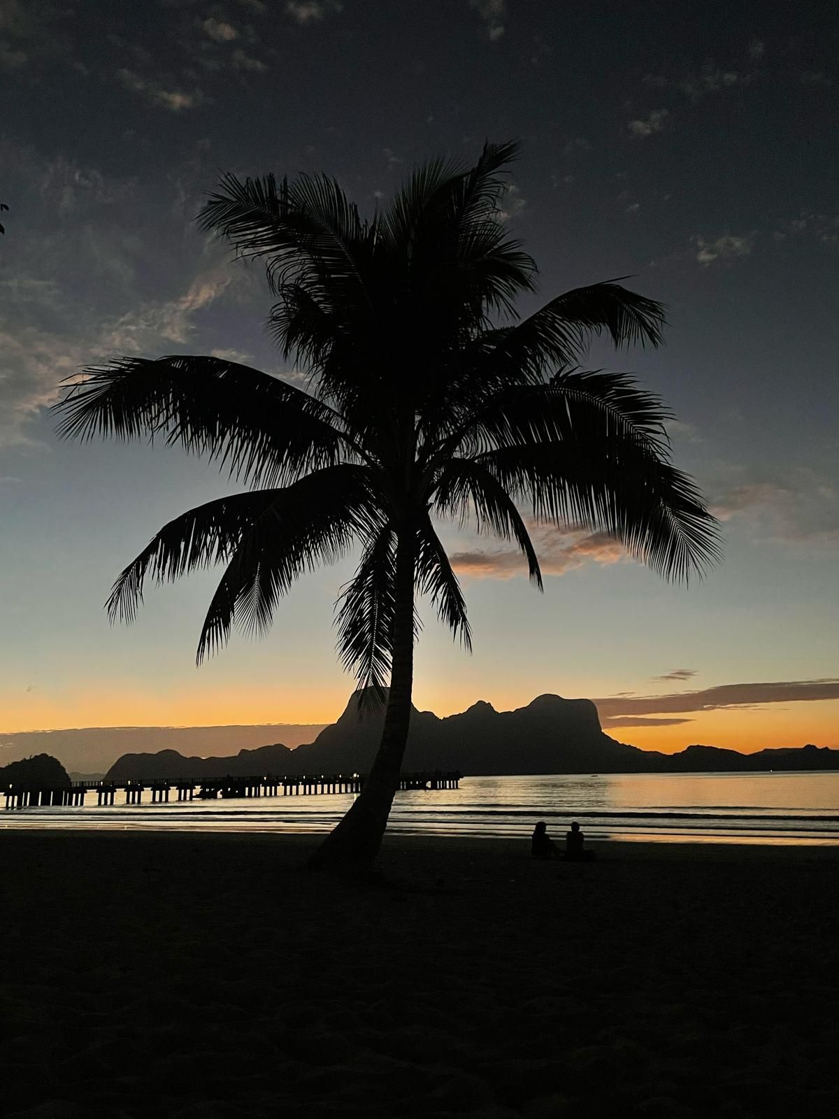 Una palma in silhouette su una spiaggia al tramonto, con un molo e montagne visibili attraverso l'acqua.