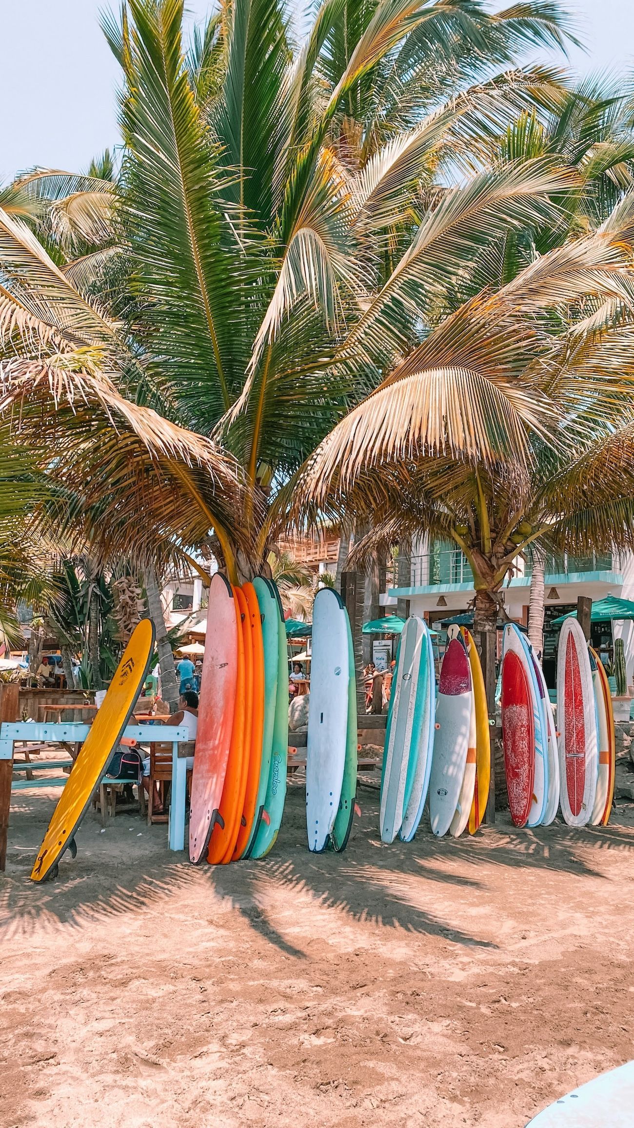 Una fila di tavole da surf colorate si erge verticalmente sulla sabbia di una spiaggia, all'ombra di grandi palme.
