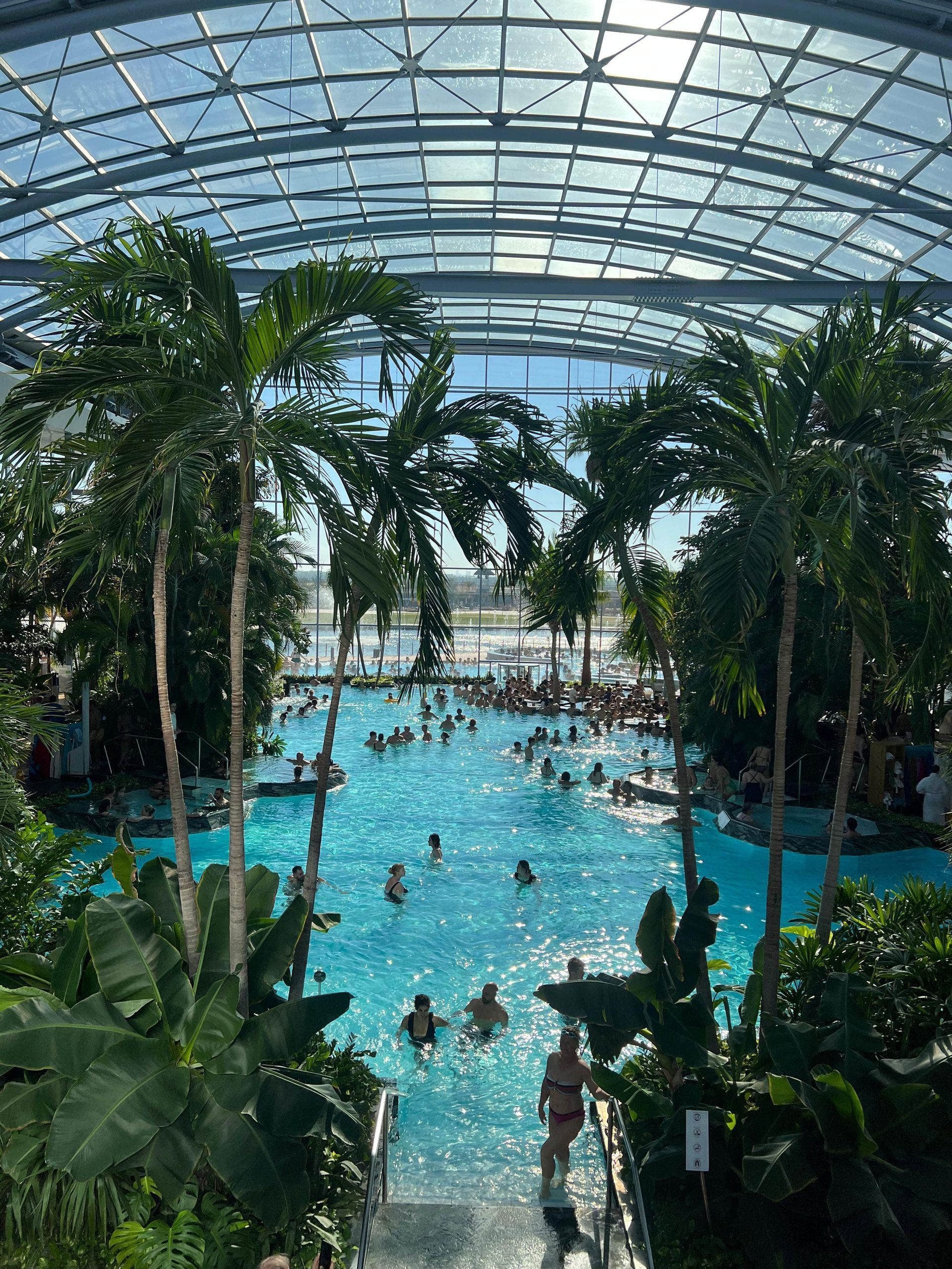 Una vista dall'alto di persone che nuotano in una grande piscina interna circondata da palme sotto una grande cupola di vetro