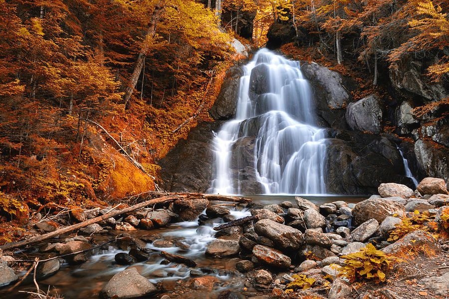 Una foto a lunga esposizione di una cascata che si getta su rocce scure, circondata da una fitta foresta con un vibrante fogliame autunnale arancione e giallo.