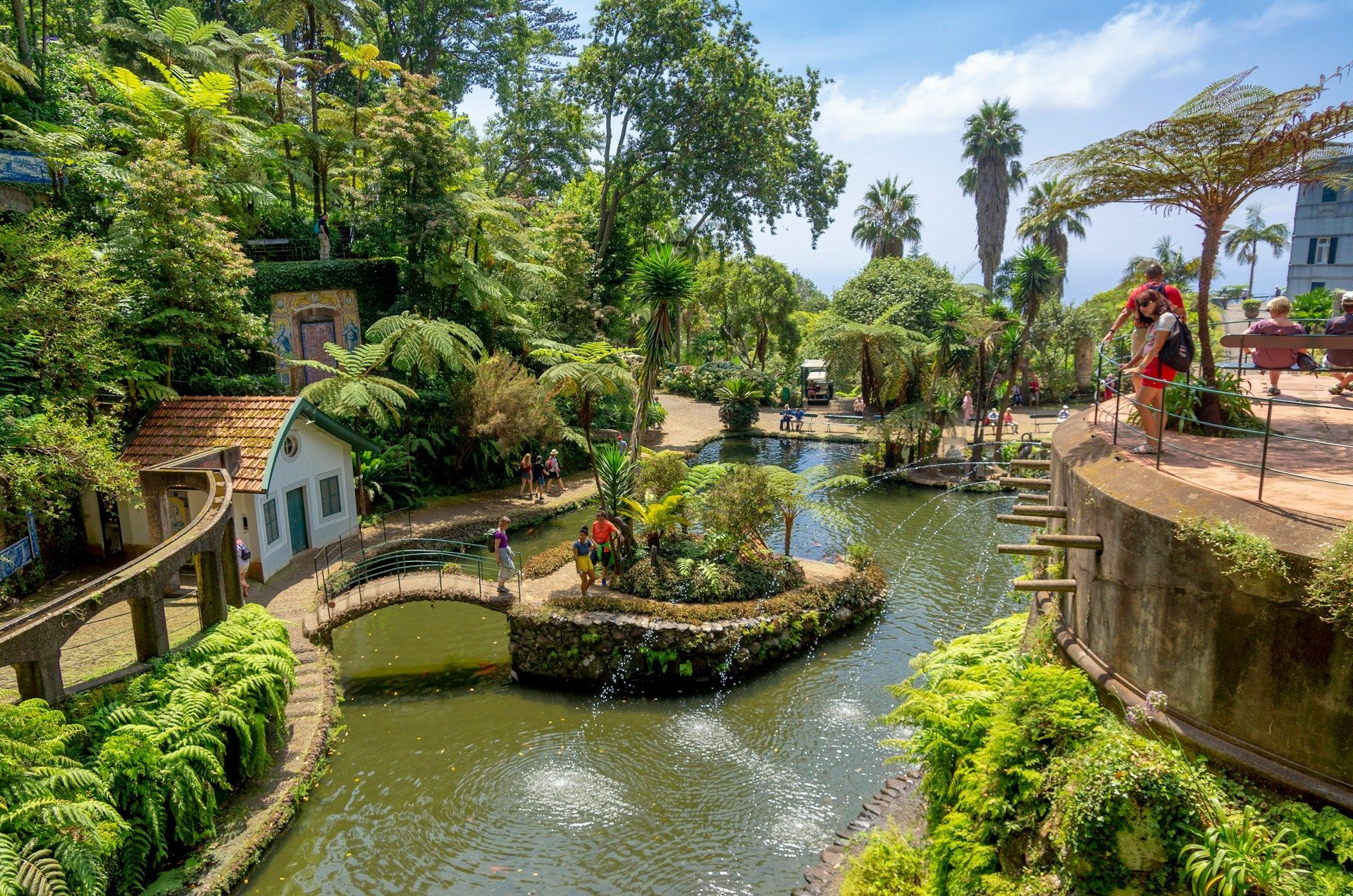 Una vista dall'alto di un lussureggiante giardino botanico con persone che camminano vicino a un laghetto con fontane, un piccolo ponte e dense piante tropicali.