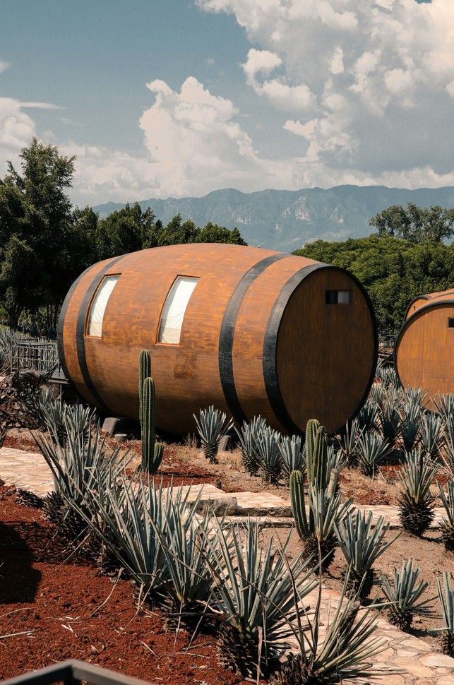 Un grande edificio in legno a forma di botte si trova in un campo di piante di agave e cactus, con montagne che si ergono sullo sfondo sotto un cielo nuvoloso.