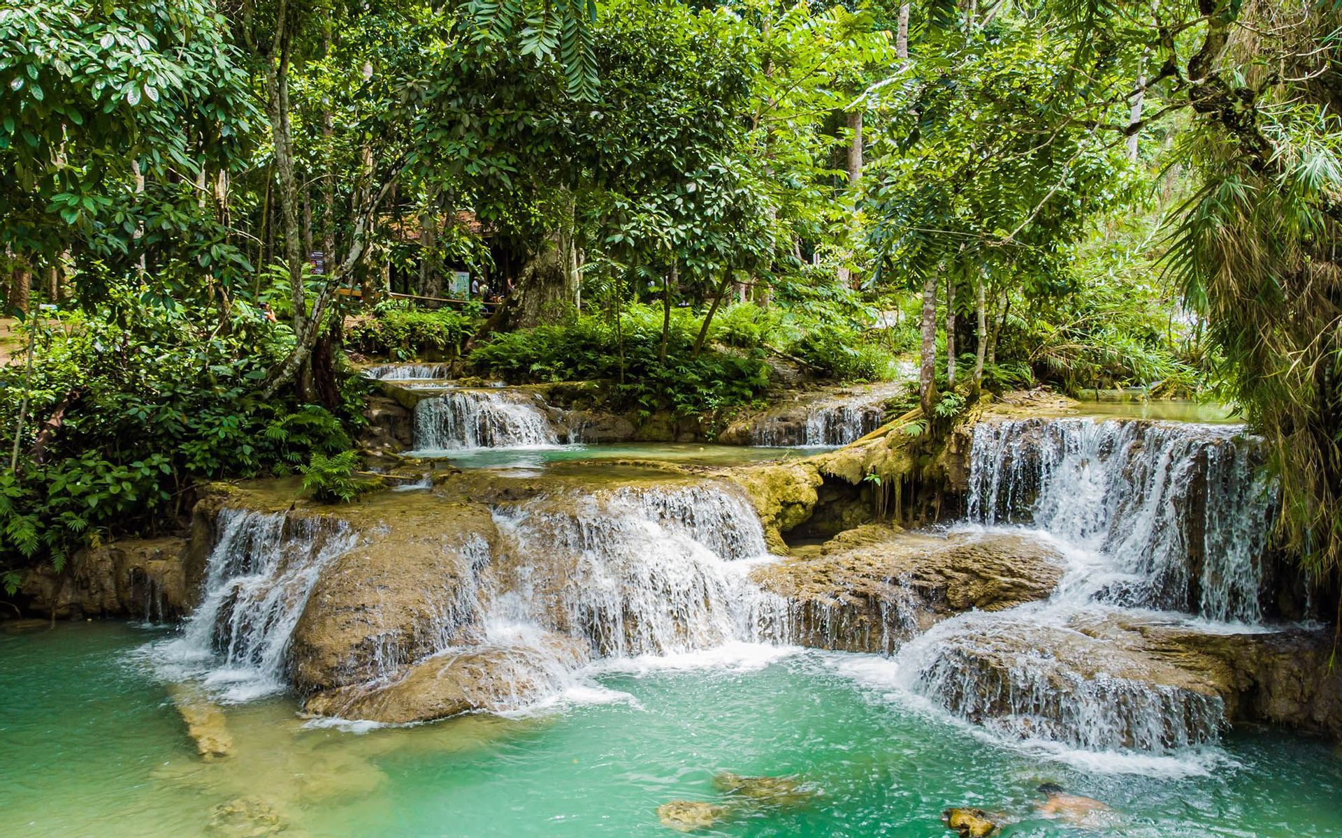 Cascate a gradoni si gettano sulle rocce in una piscina naturale turchese, circondata da una fitta foresta verde, con persone che nuotano.