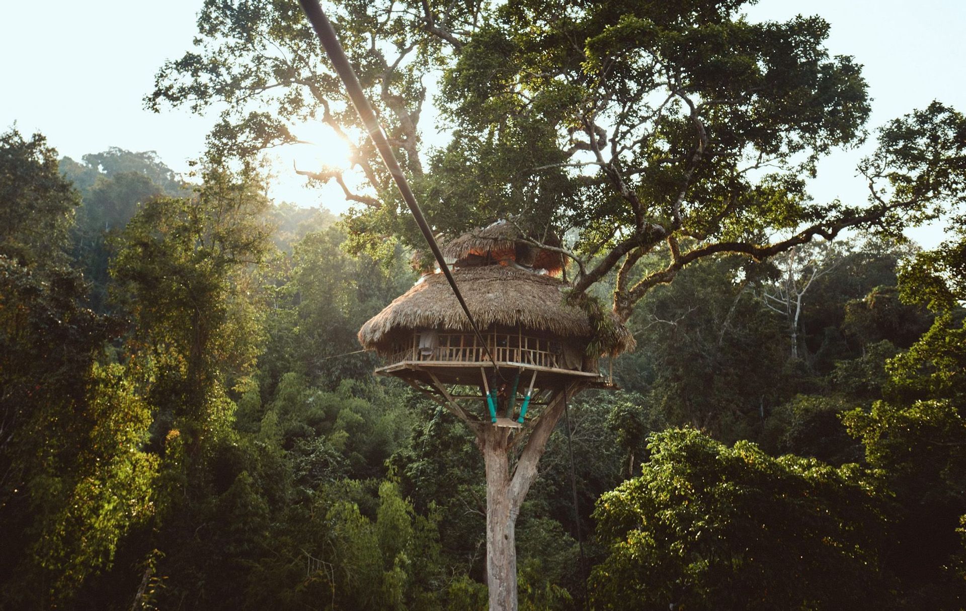 Una casa sull'albero con tetto di paglia si trova in alto su un grande albero, circondata da una giungla fitta con la luce del sole che filtra attraverso la volta.