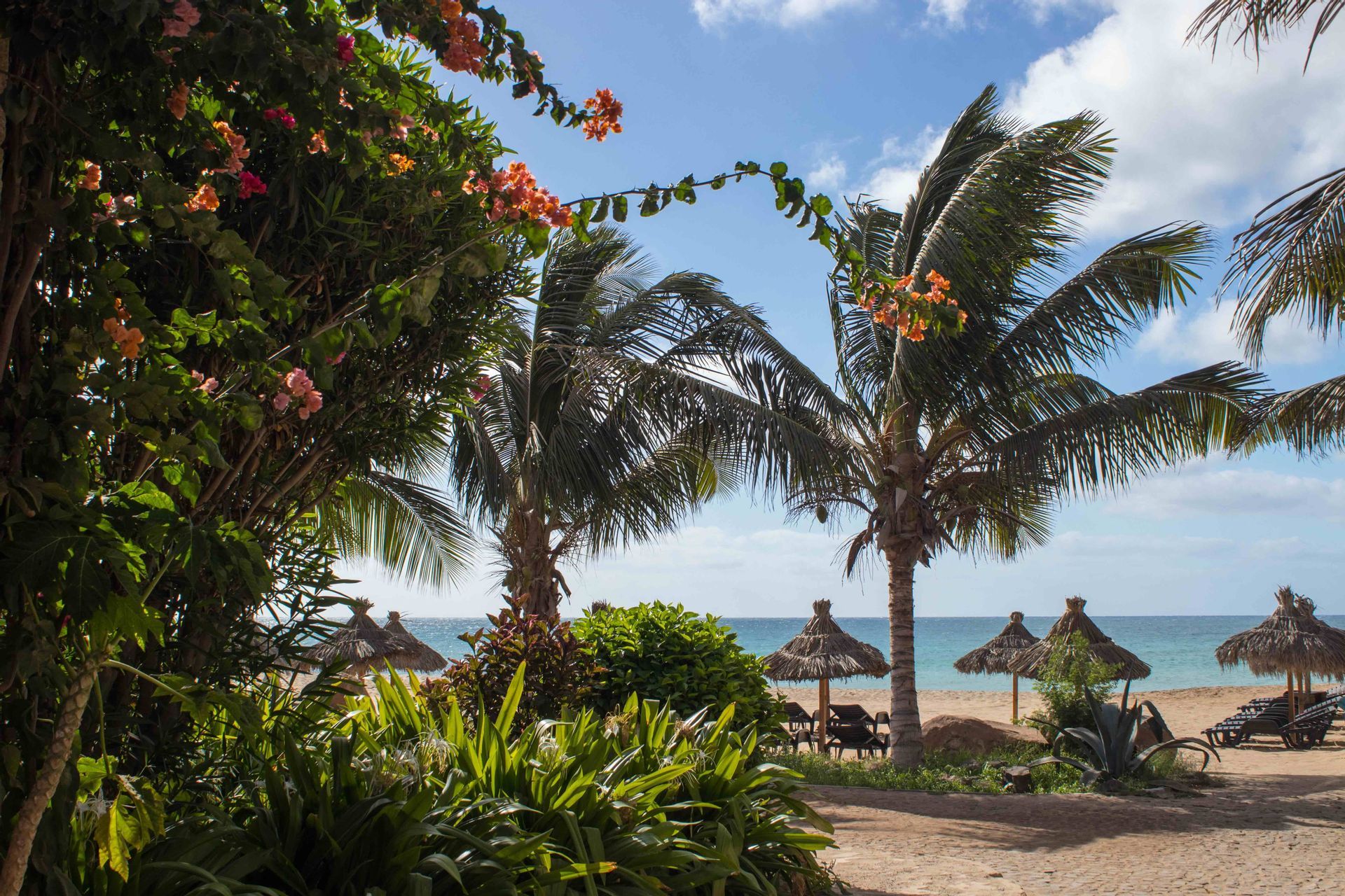 Des plantes tropicales luxuriantes et des palmiers encadrent une plage de sable avec des parasols en chaume et des chaises longues donnant sur l'océan.