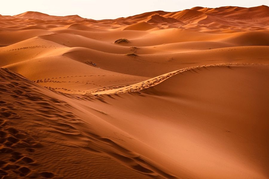 Vaste dune di sabbia arancione si estendono all'orizzonte sotto un cielo velato, con orme visibili lungo una cresta.