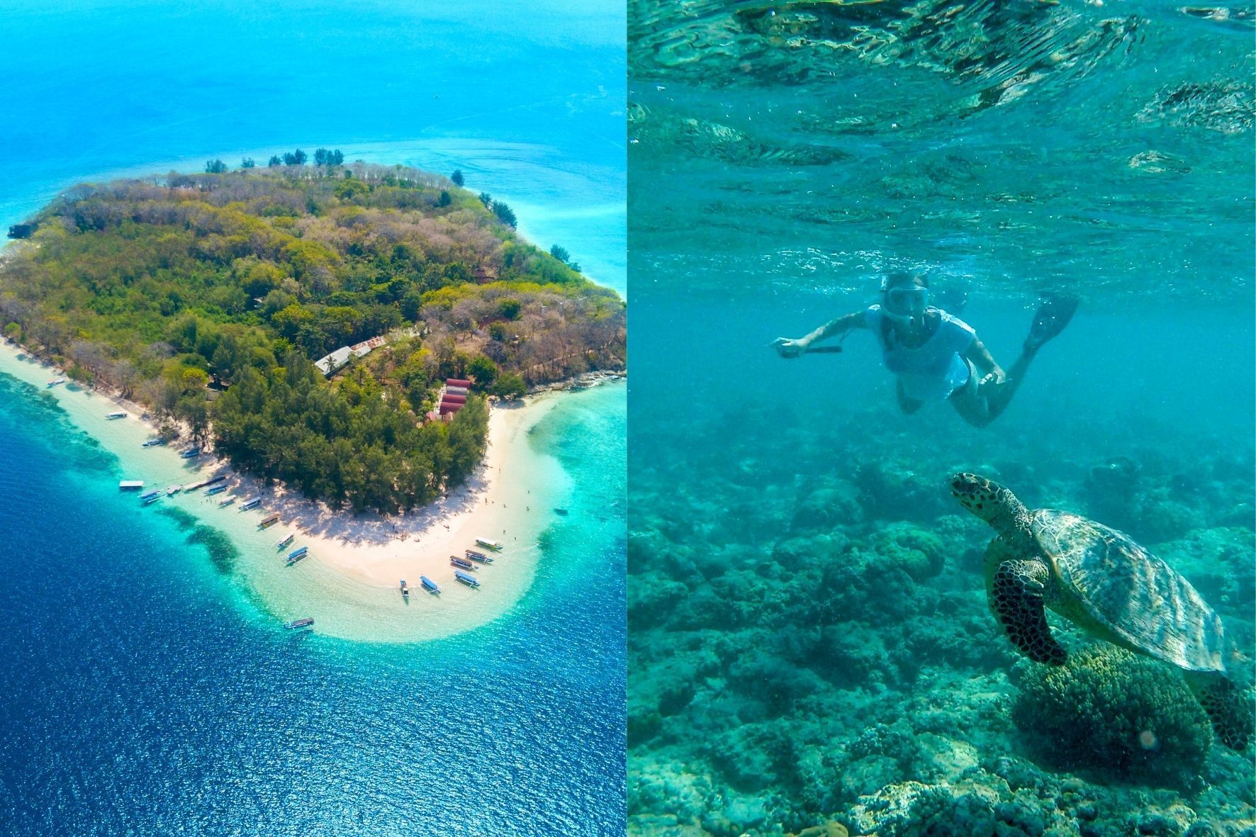 Ein geteiltes Bild: links eine Luftaufnahme einer tropischen Insel, rechts eine Person, die mit einer Meeresschildkröte schnorchelt.