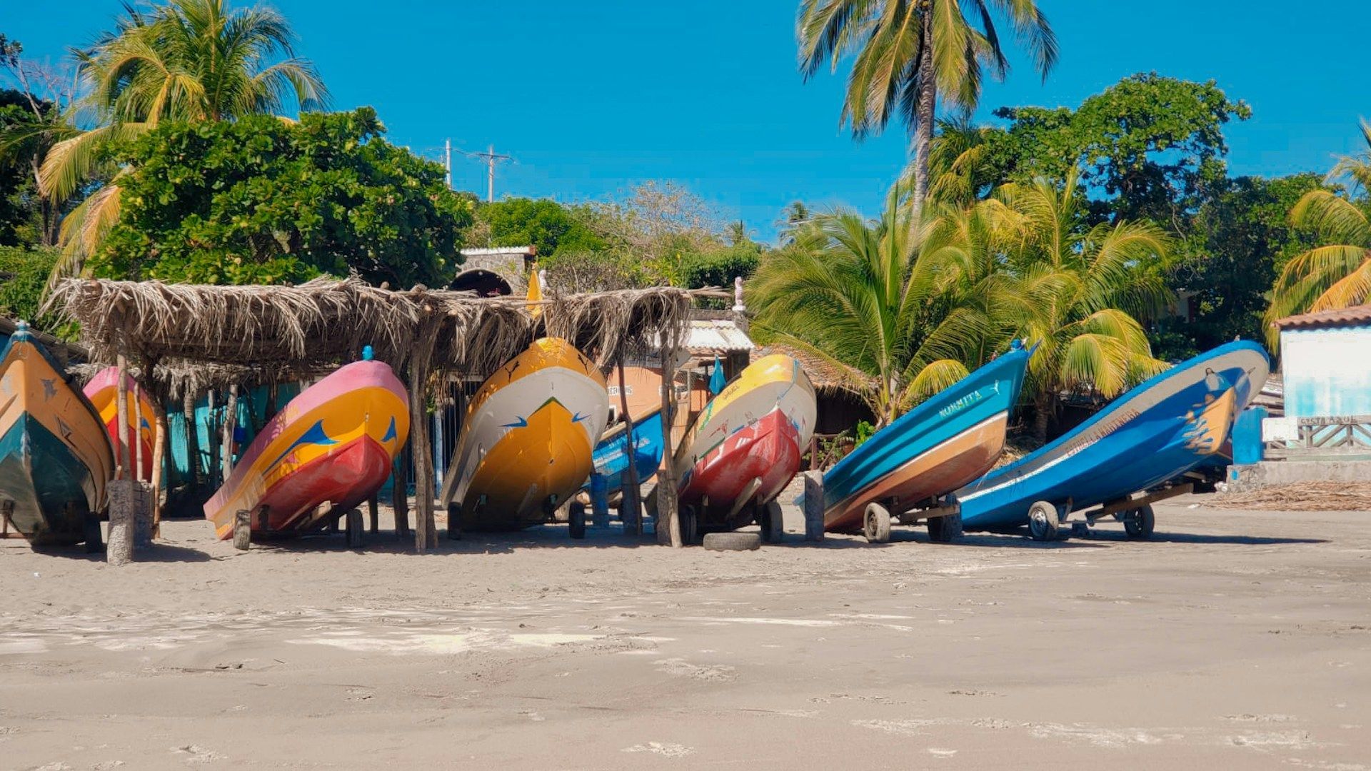 Una fila di colorate barche da pesca adagiata su una spiaggia sabbiosa, alcune sotto un riparo di paglia, con palme che si stagliano contro un cielo azzurro.