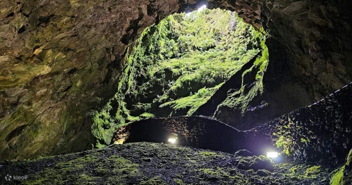 L'interno di una grande grotta ricoperta di muschio con un'apertura nel soffitto e un sentiero di pietra illuminato da luci.