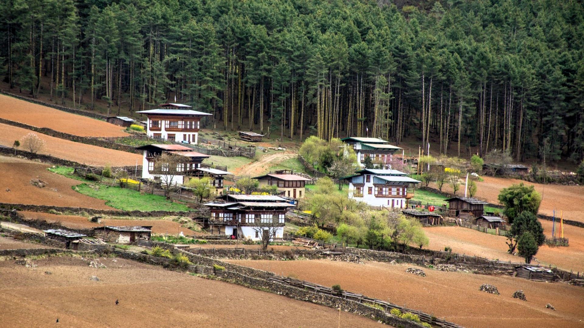 Un piccolo borgo con case tradizionali sparse su un pendio terrazzato, circondato da una fitta foresta di alti pini.