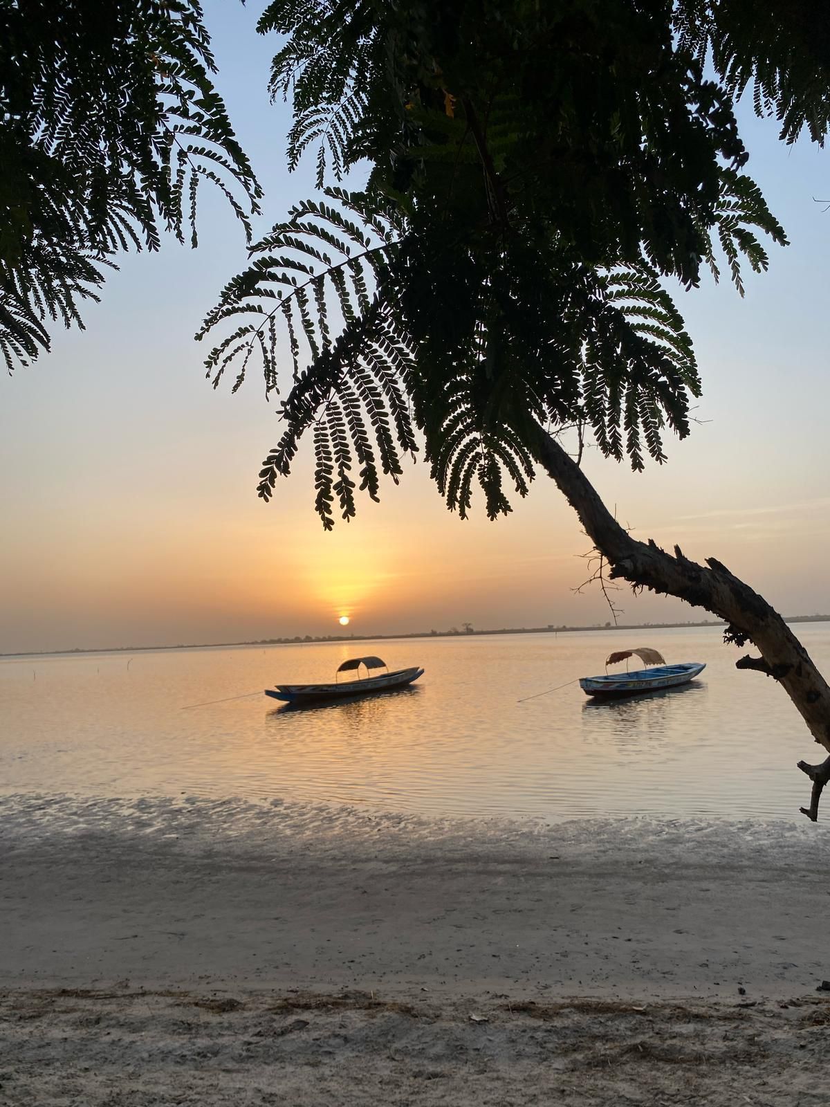 Dos pequeños botes con toldos flotan en agua tranquila al atardecer, enmarcados por ramas de árboles silueteadas desde una orilla arenosa.