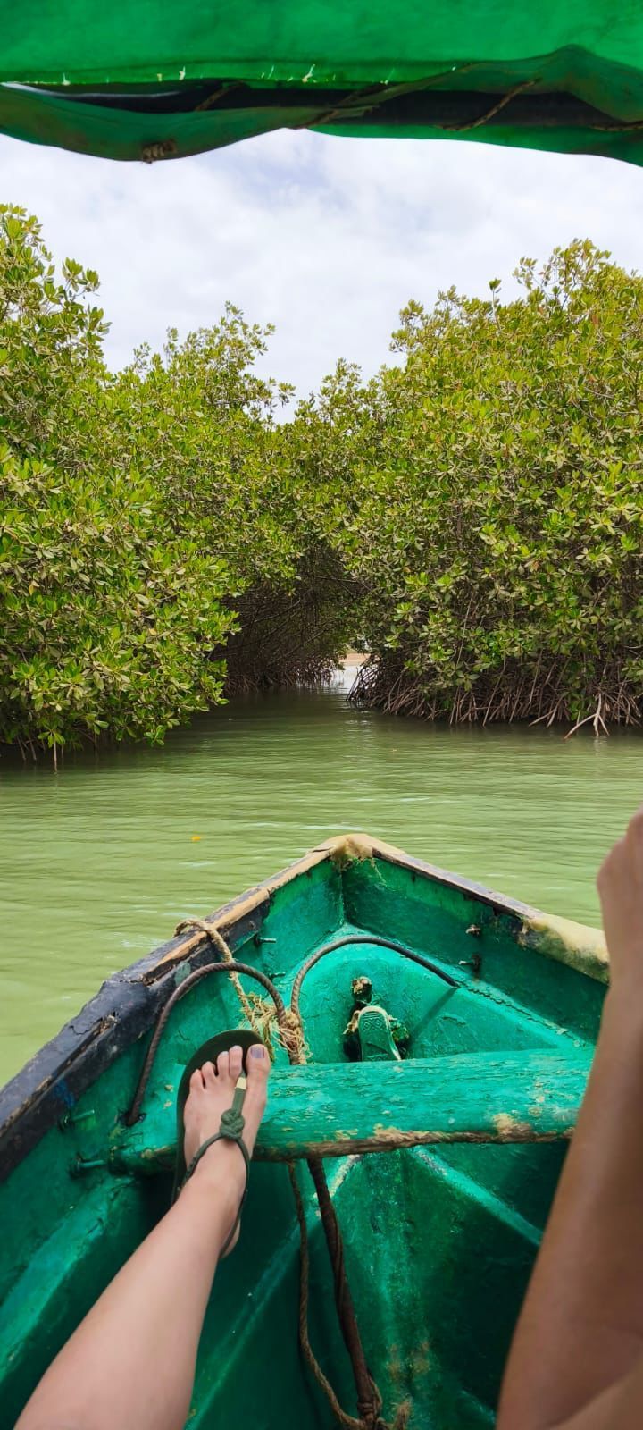 Vista en primera persona desde una barca verde, con un pie en la proa, navegando por un canal estrecho rodeado de manglares.