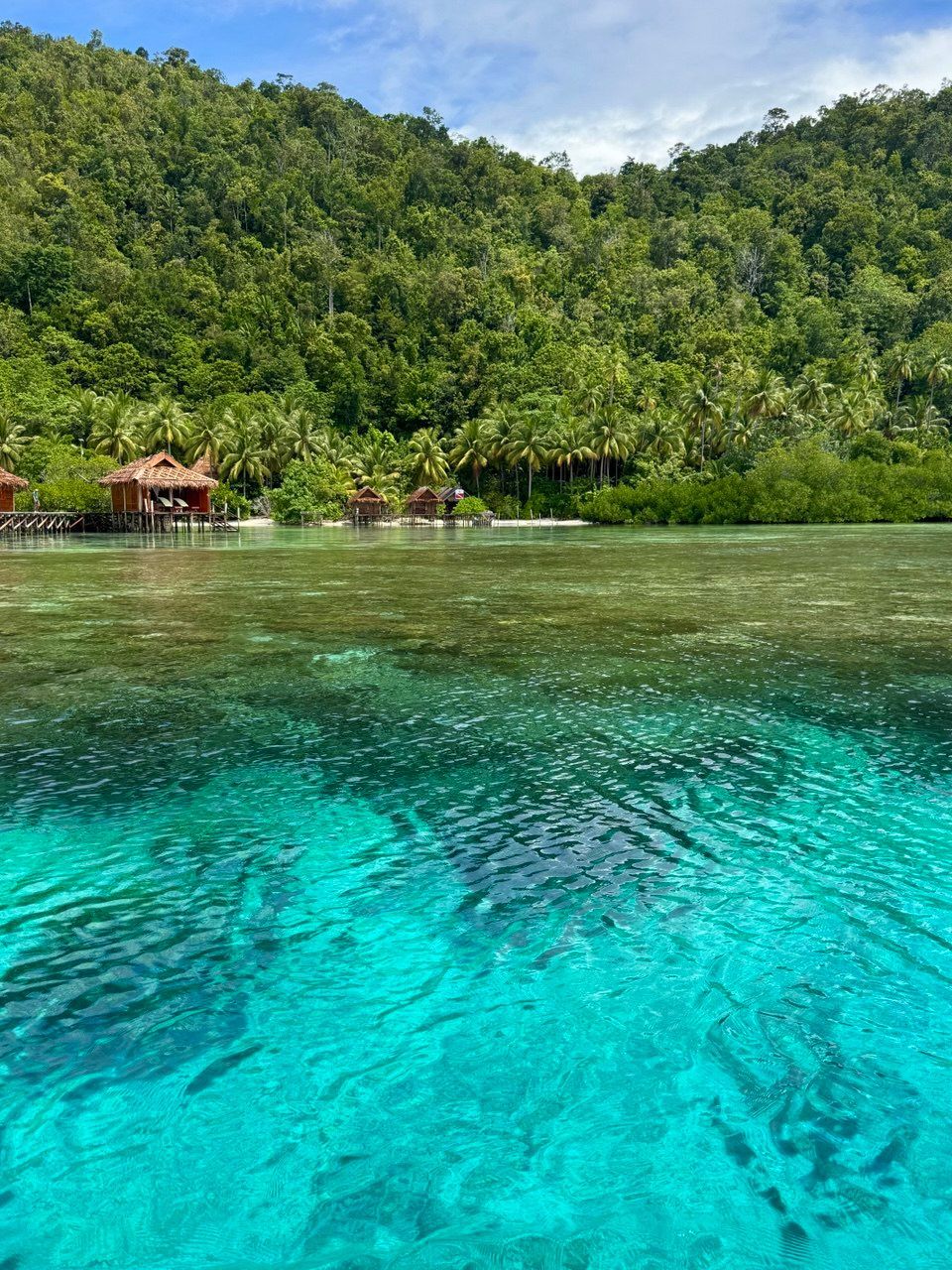 Capanne di legno su palafitte costeggiano la riva di una baia con acqua limpida e turchese, con una lussureggiante collina boscosa sullo sfondo.