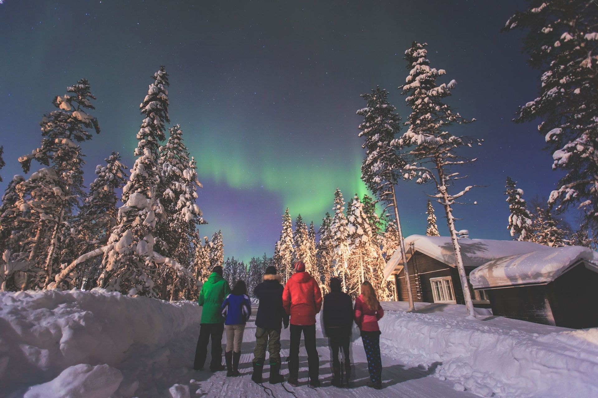 Eine WeRoad-Gruppe steht nachts in einem verschneiten Wald und beobachtet, wie das grüne Nordlicht den Sternenhimmel erhellt.