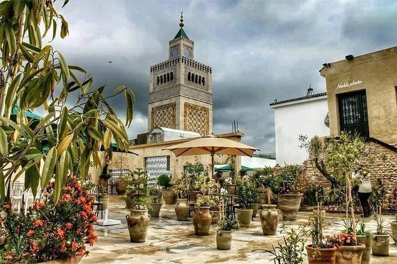 Une terrasse sur le toit remplie de nombreuses plantes en pot offre une vue sur un minaret traditionnel en pierre sous un ciel nuageux.