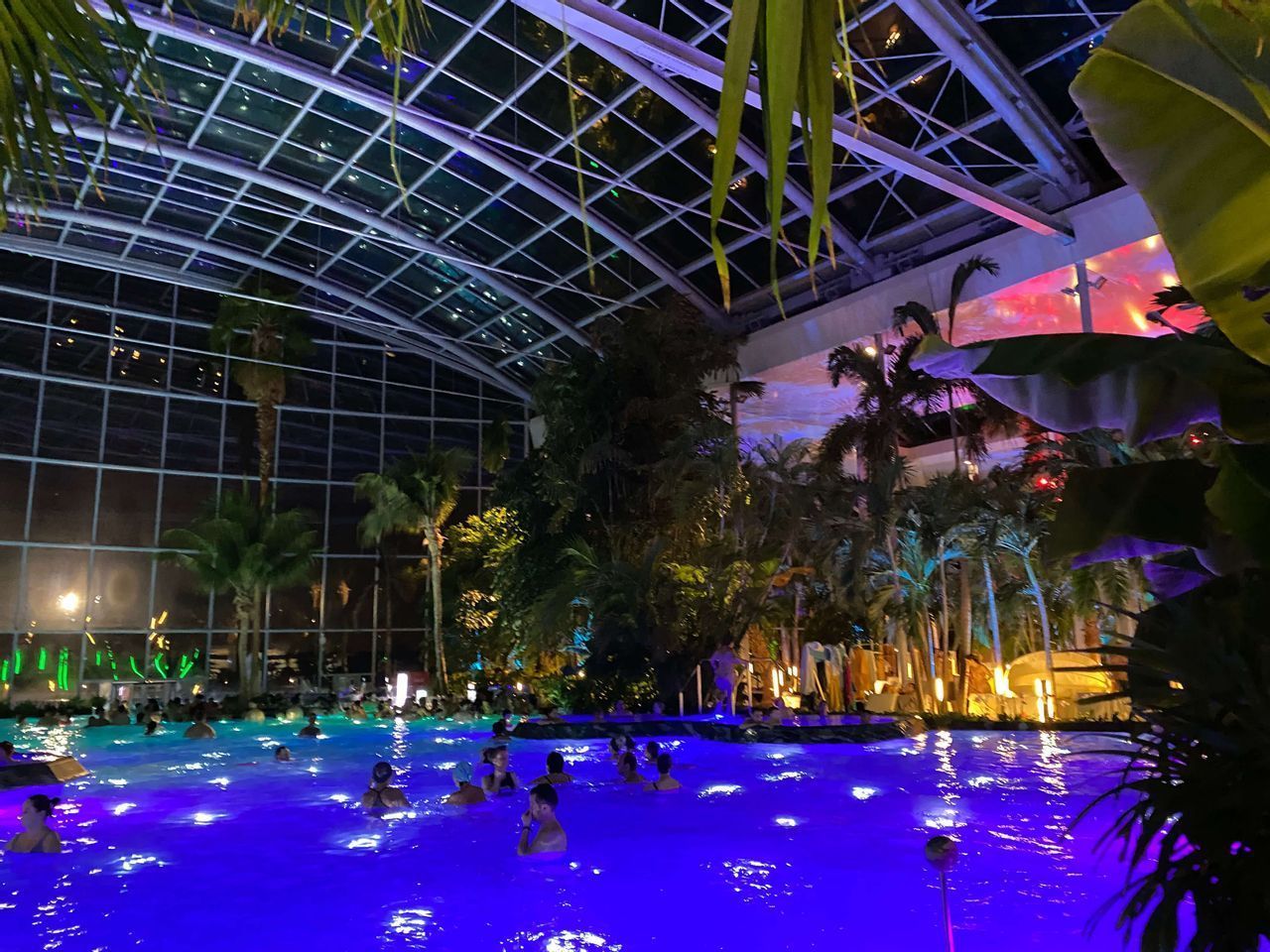 Un viaje en grupo de WeRoad relajándose en una gran piscina cubierta por la noche, iluminada con luces azules y rodeada de palmeras tropicales.