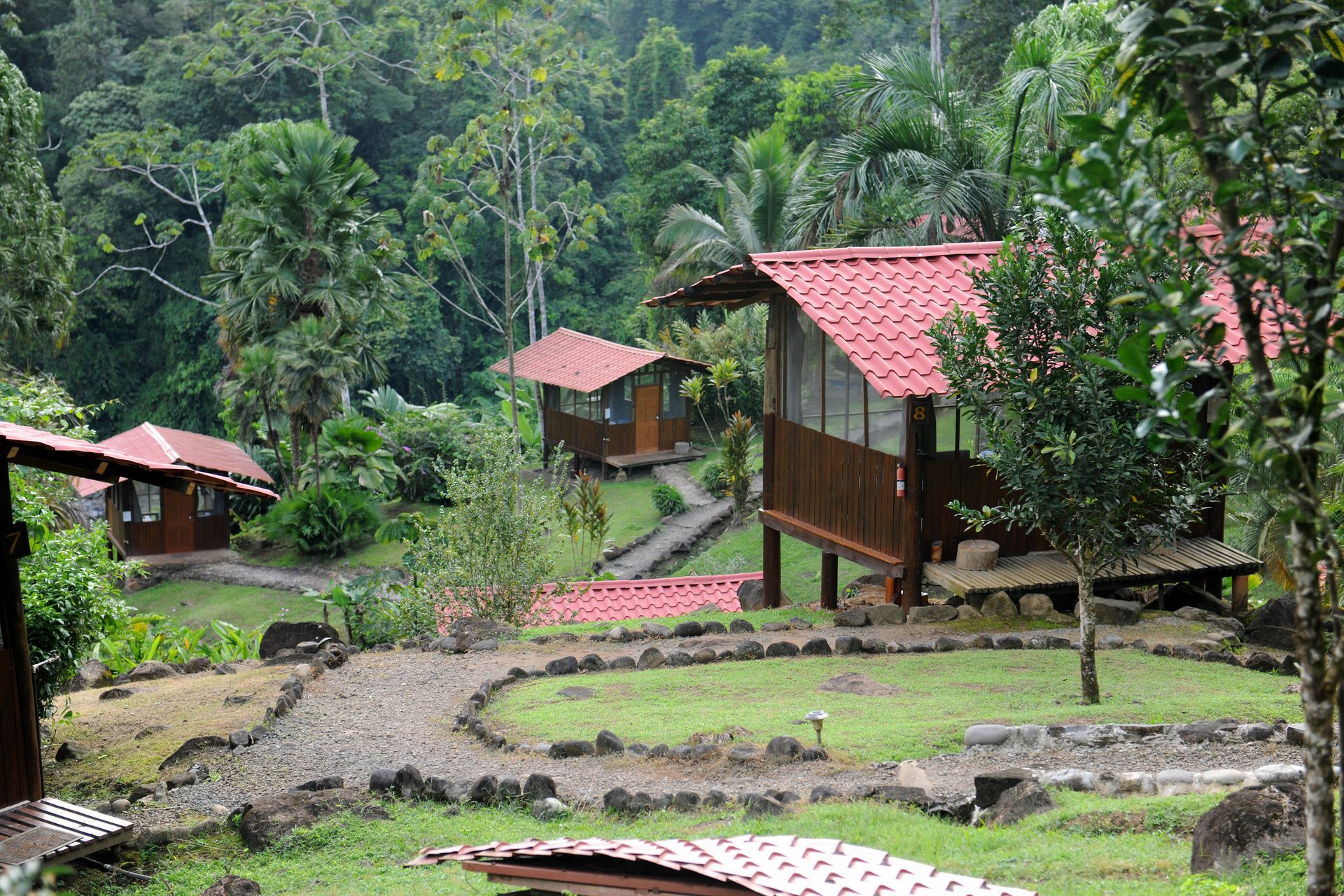 Bungalows de madera con tejados rojos se encuentran en una ladera cubierta de hierba, interconectados por un sinuoso camino de piedra en una exuberante jungla verde.