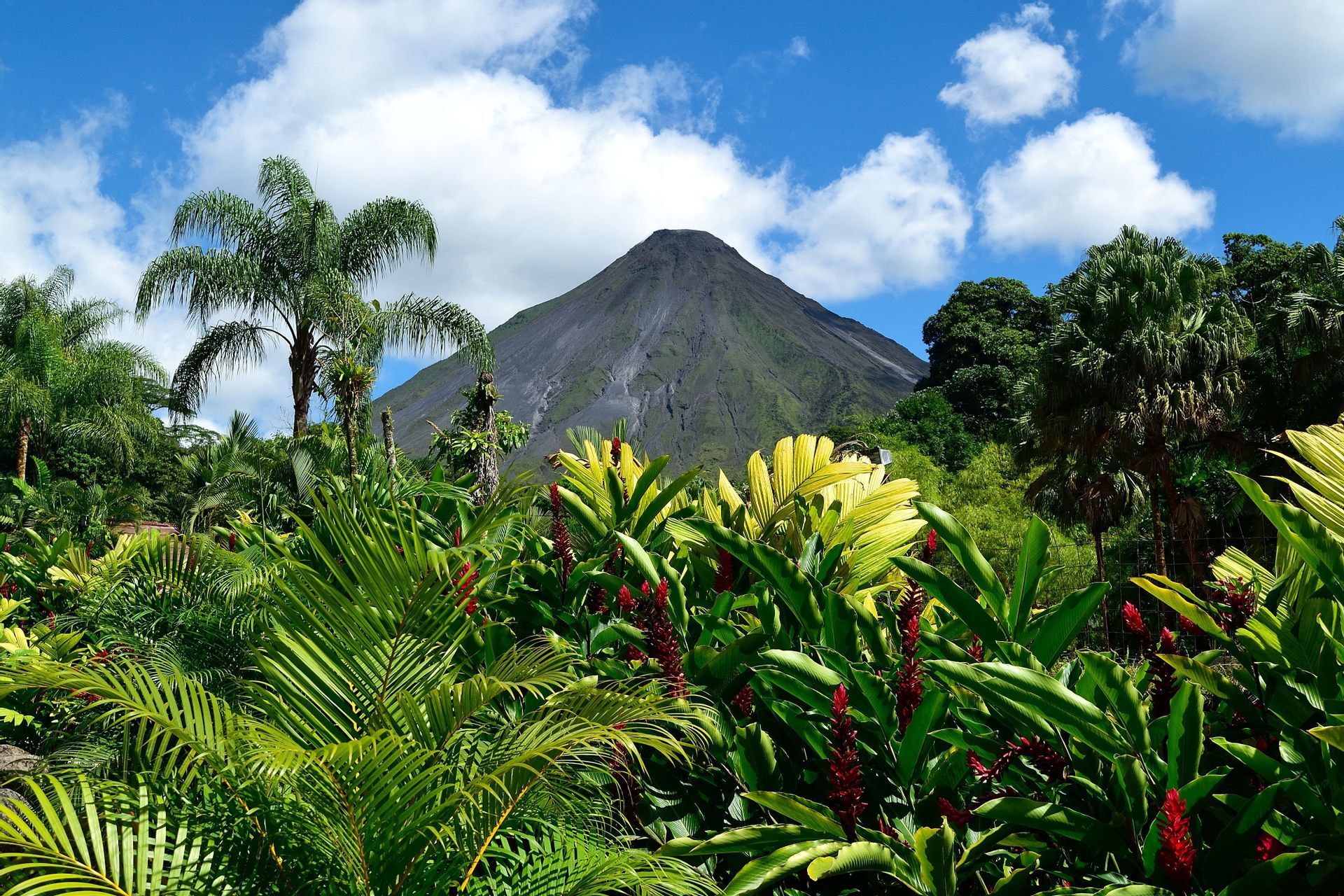 Un gran volcán se alza tras una densa jungla tropical con palmeras y flores rojas bajo un cielo azul y nublado.