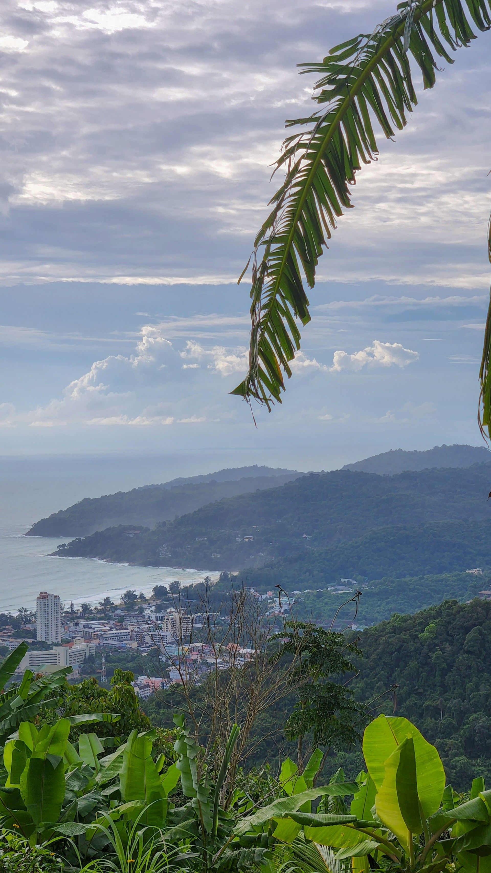 Una vista dall'alto di una città costiera adagiata tra colline boscose e il mare, con vegetazione tropicale in primo piano.